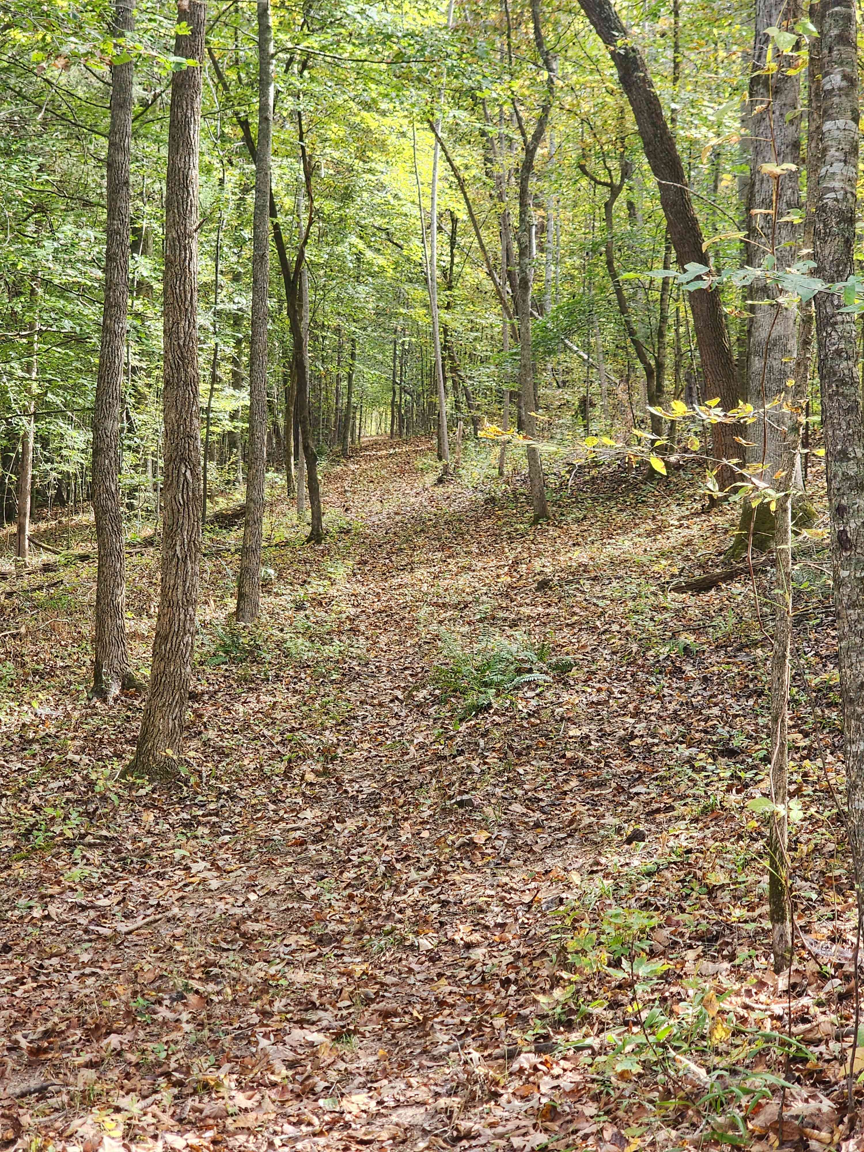 Lionsgate Campground