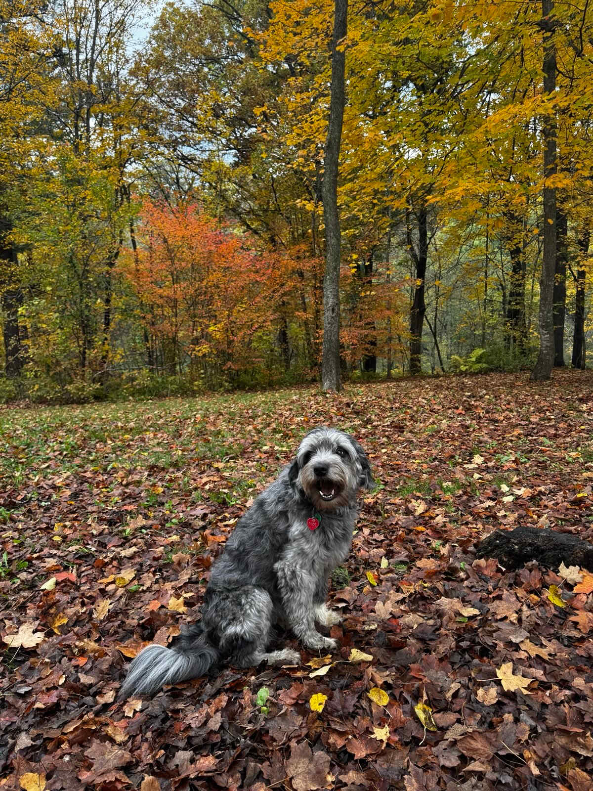 Bluff Hollow Camp on the Root River
