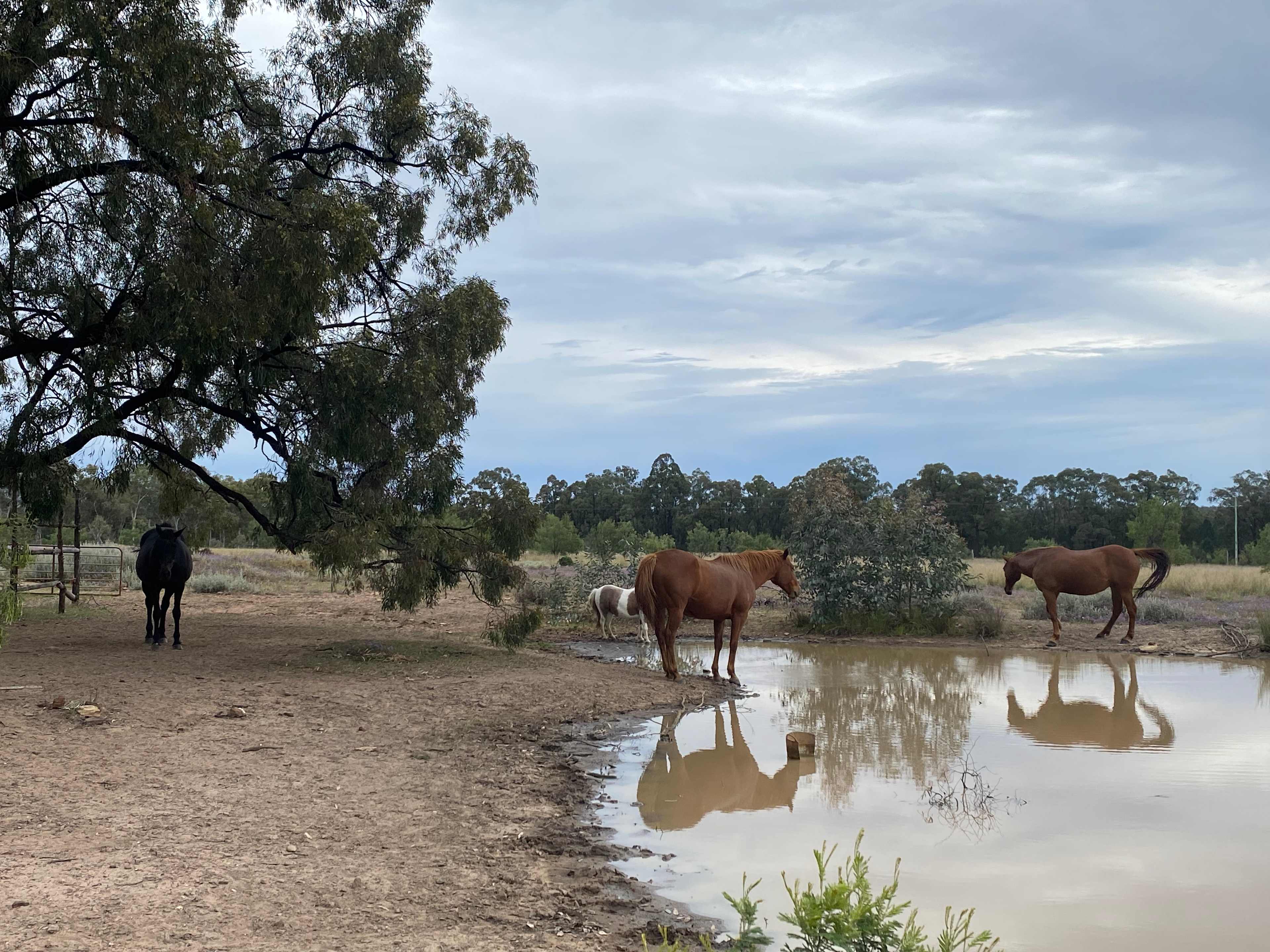 Outback Fish Farm