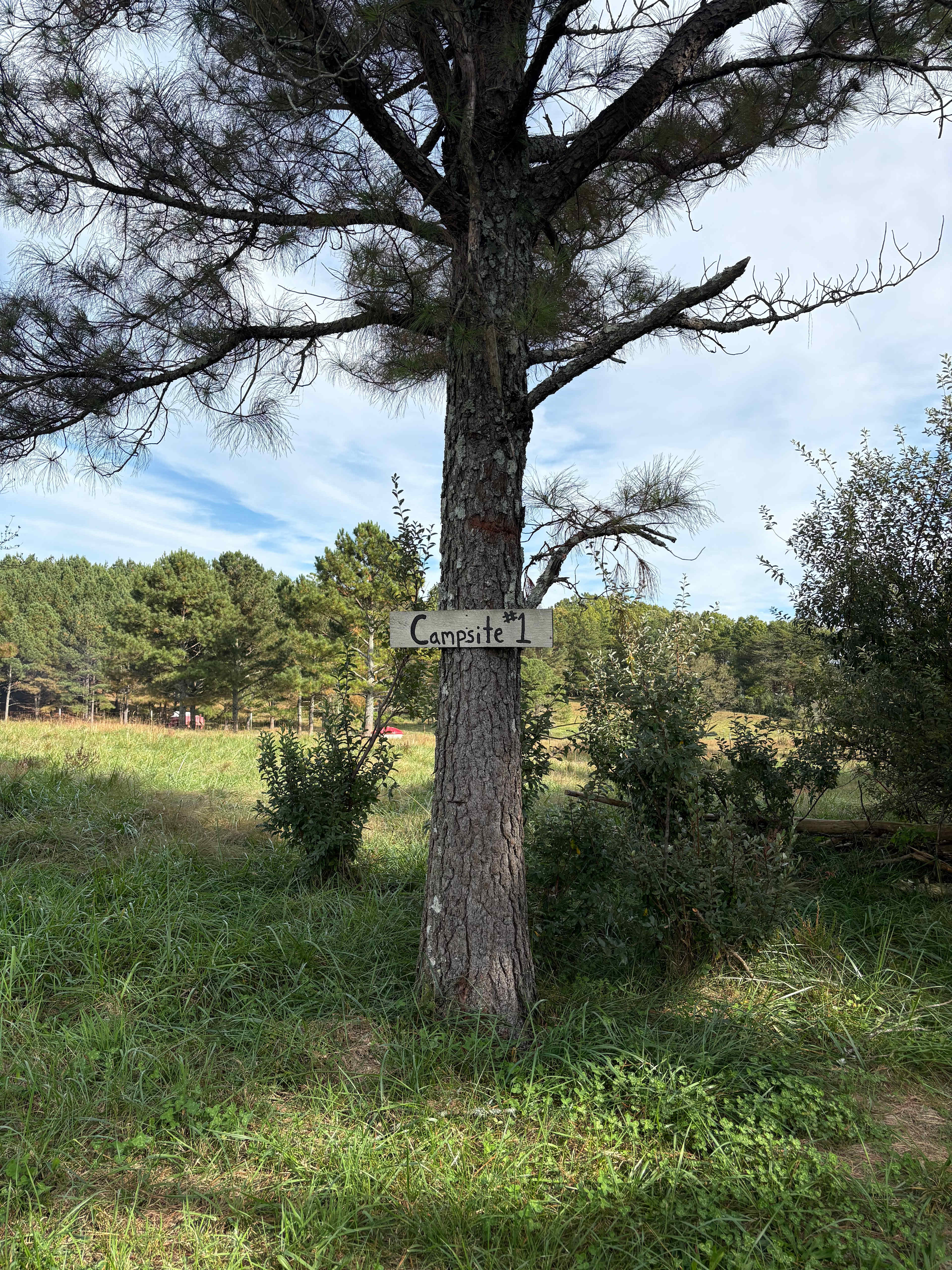 Solace Farm Homestead