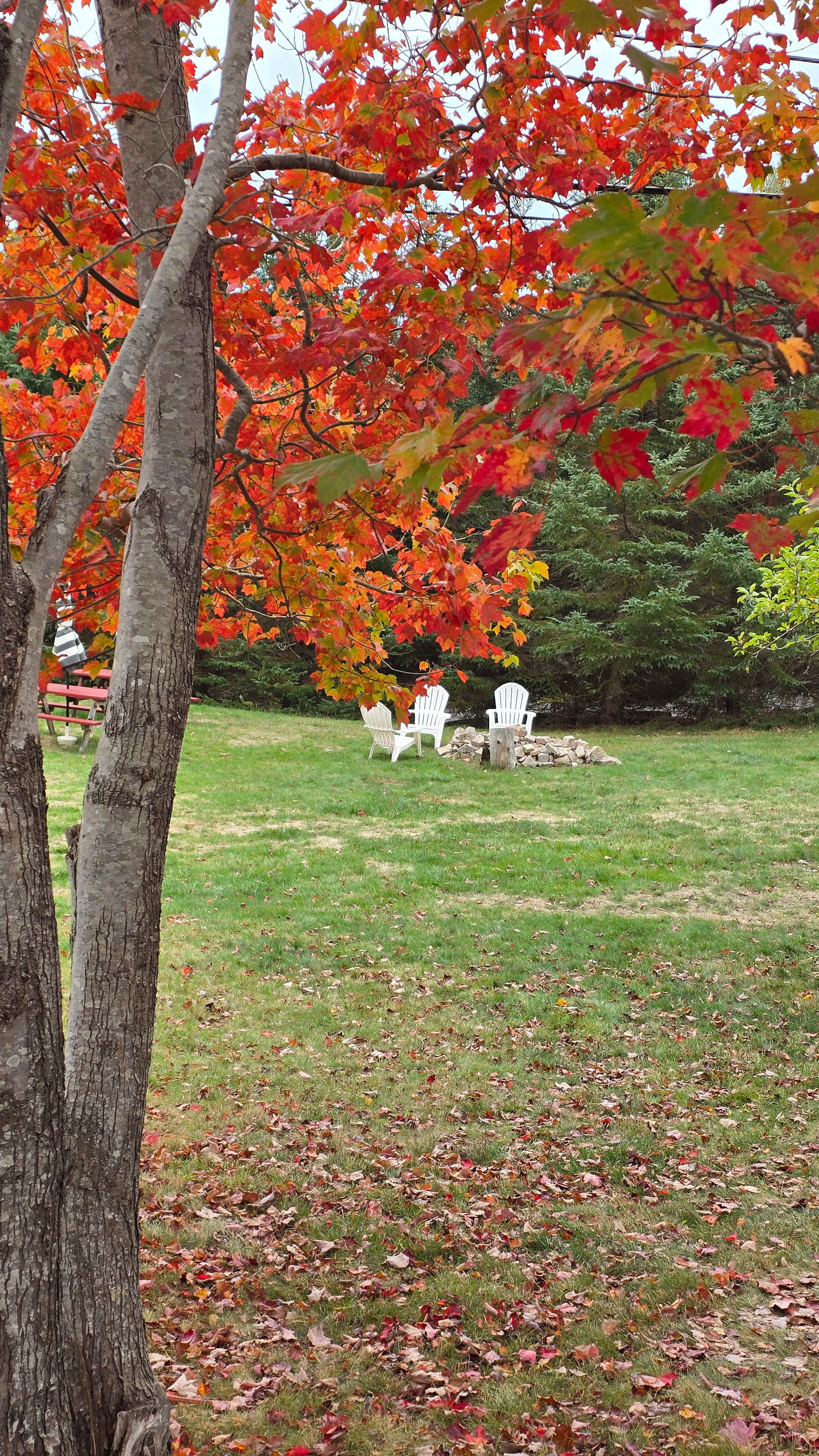 Quarry Ledge Campground