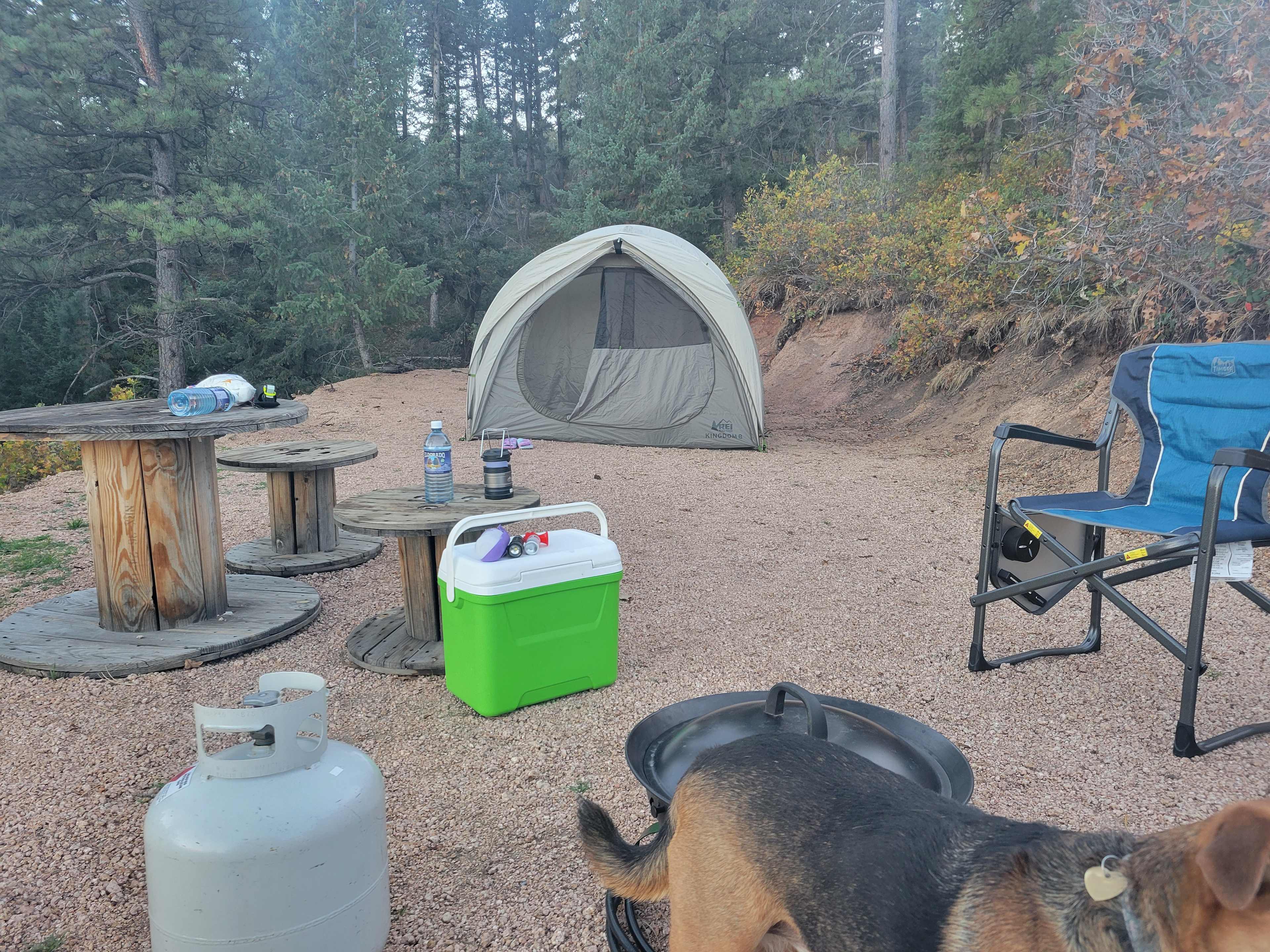 Camp Site 1