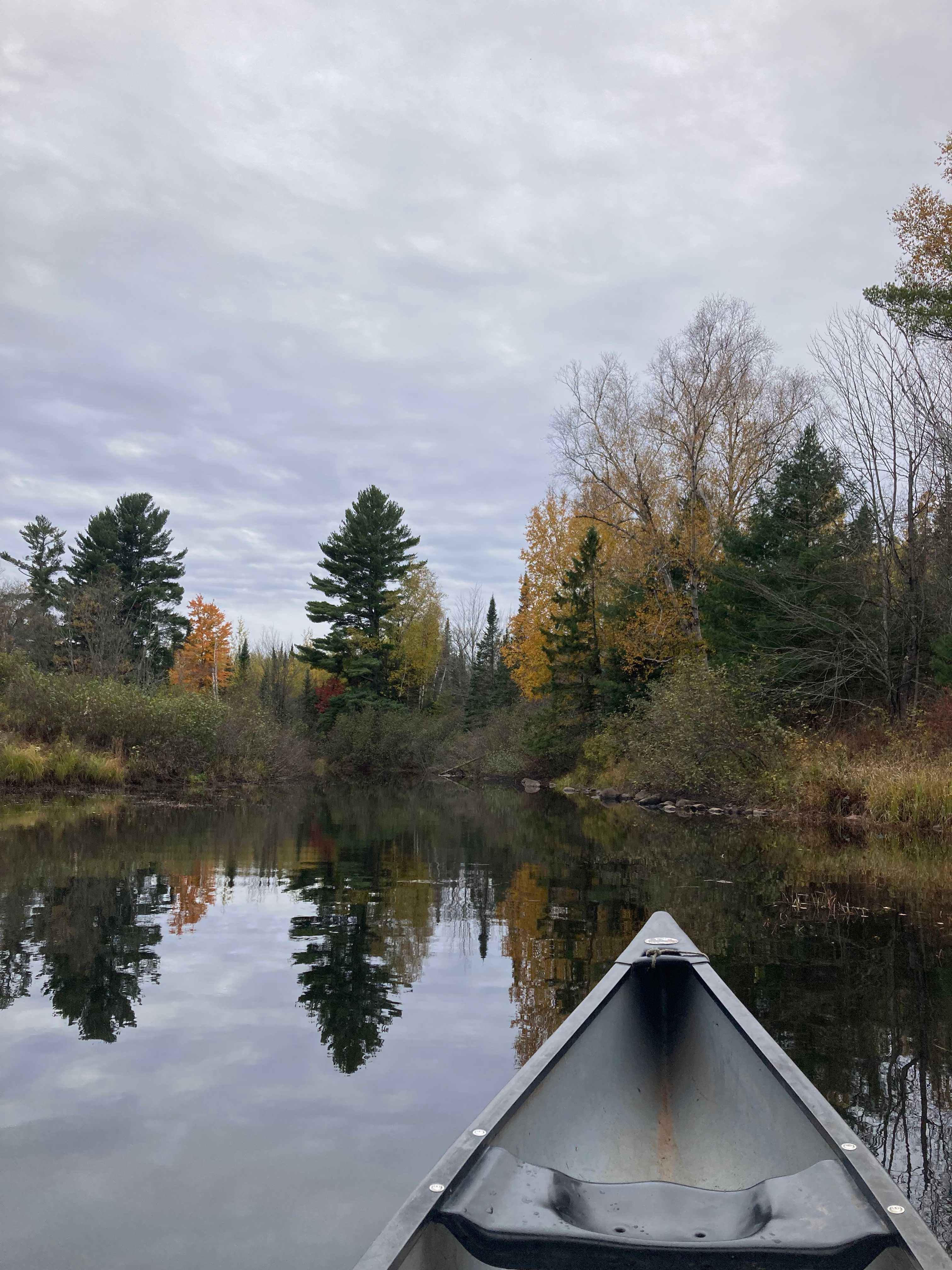 Bad River Wilderness