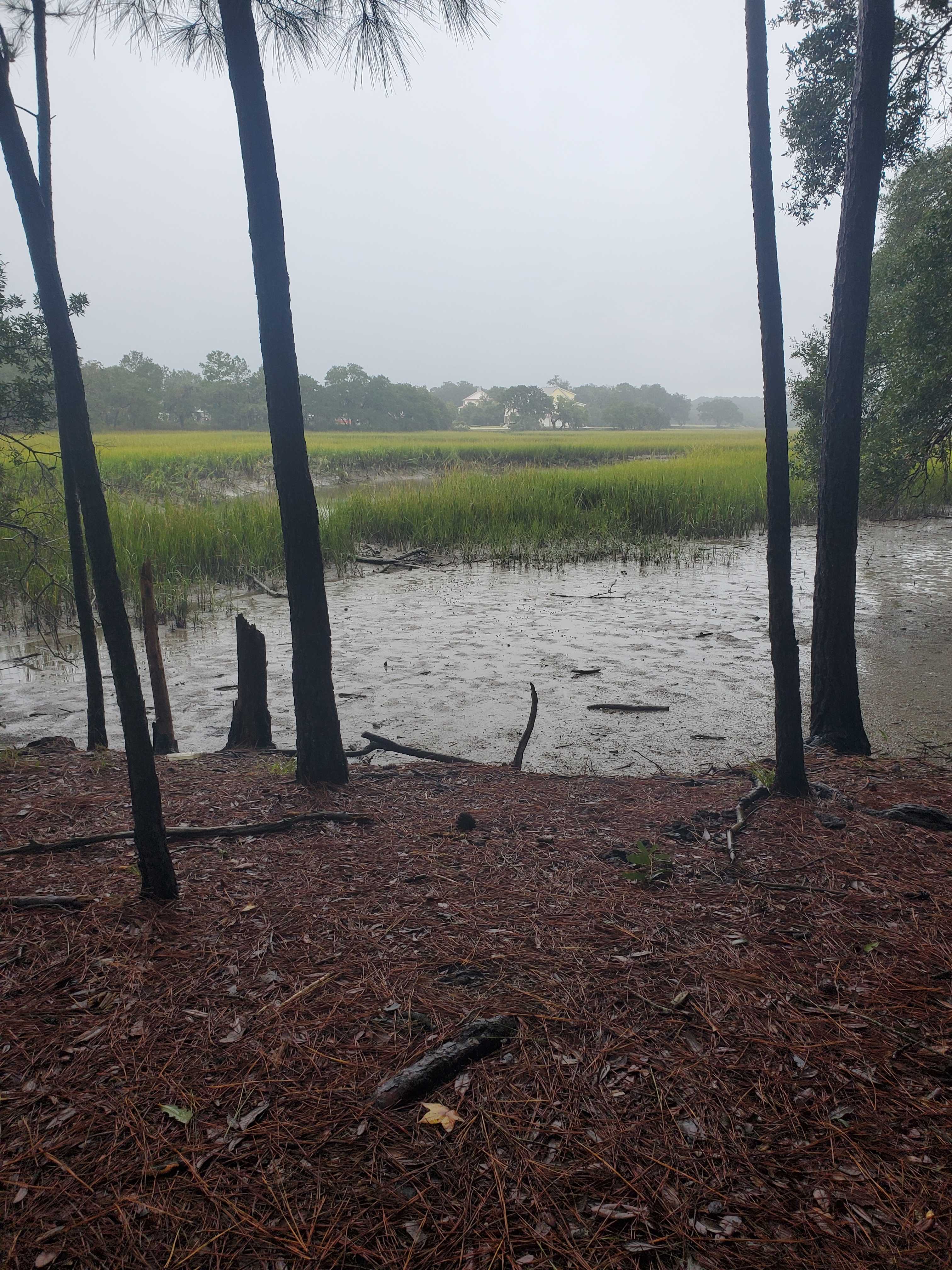Hanscombe Point Plantation