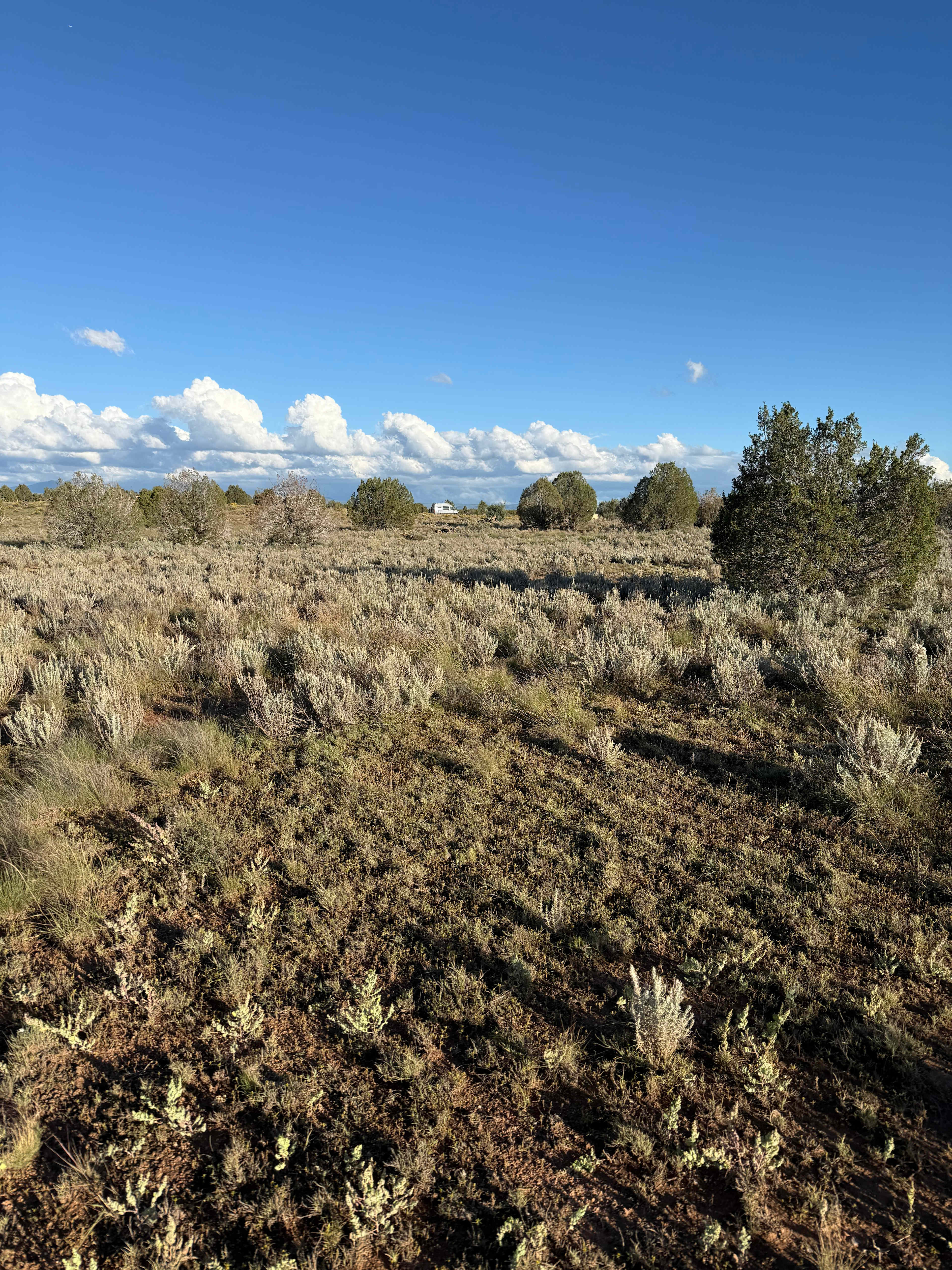 A Spark in the Dark Campground