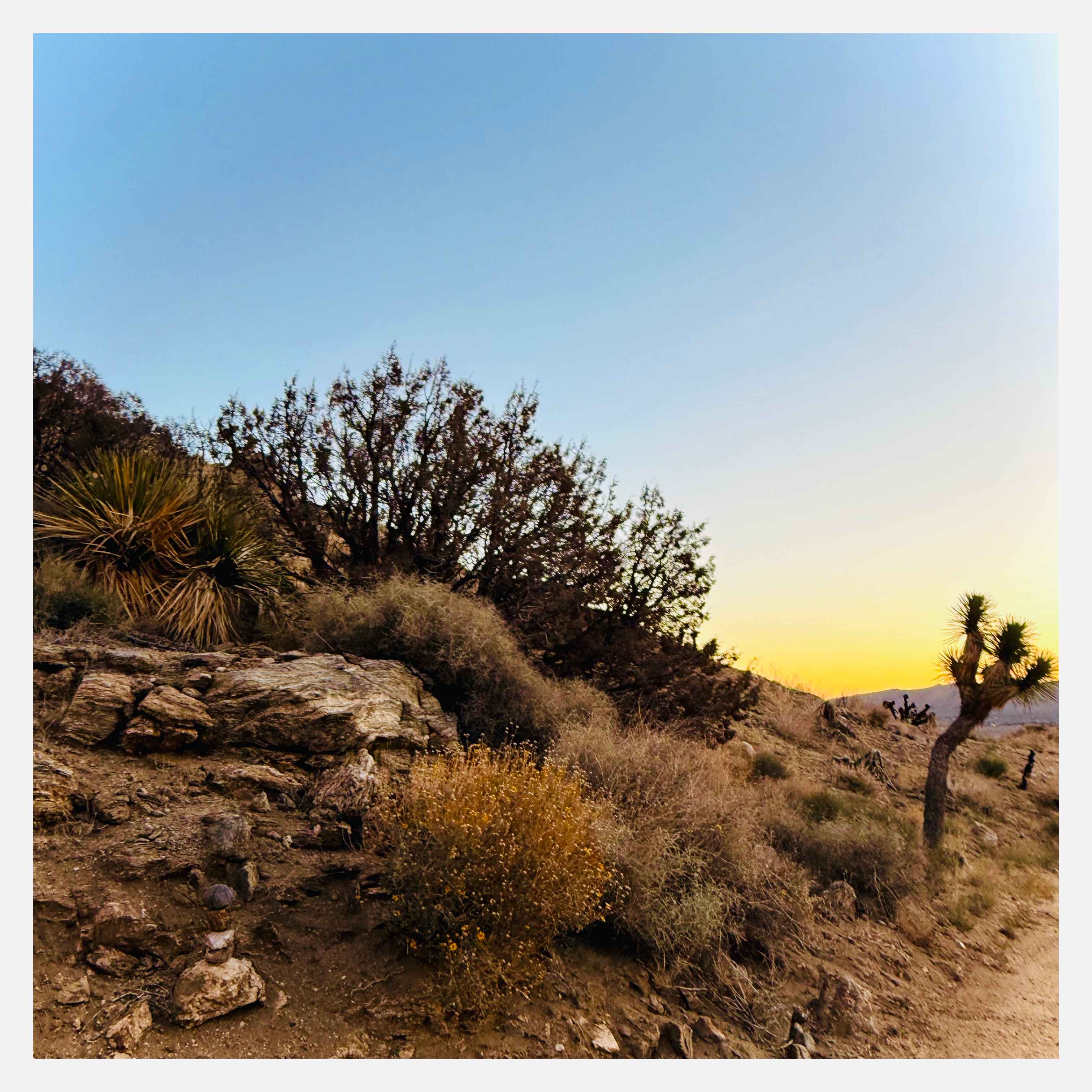Tipi Canyon, Joshua Tree Nat’l Park