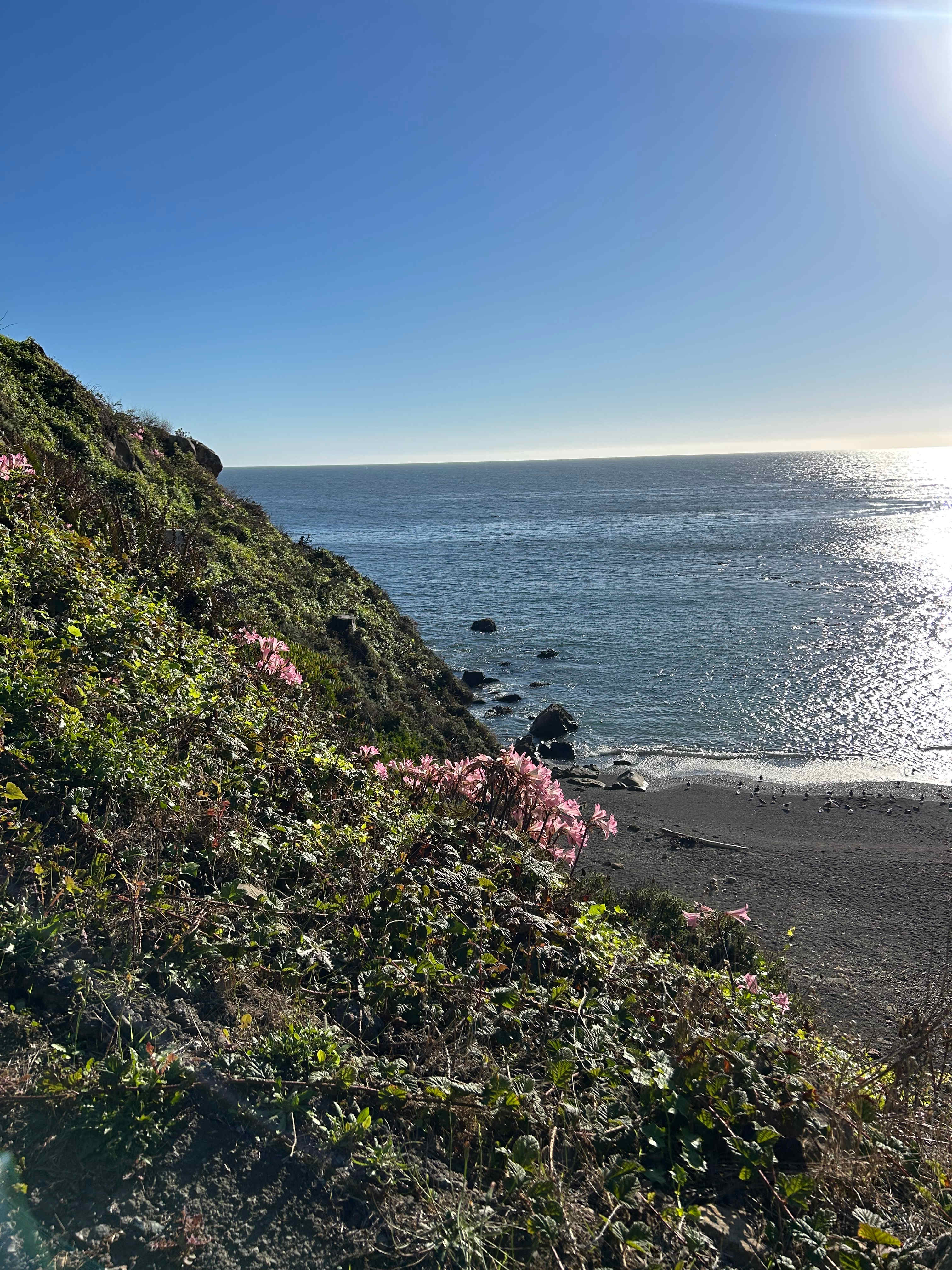 Timber Cove Campground