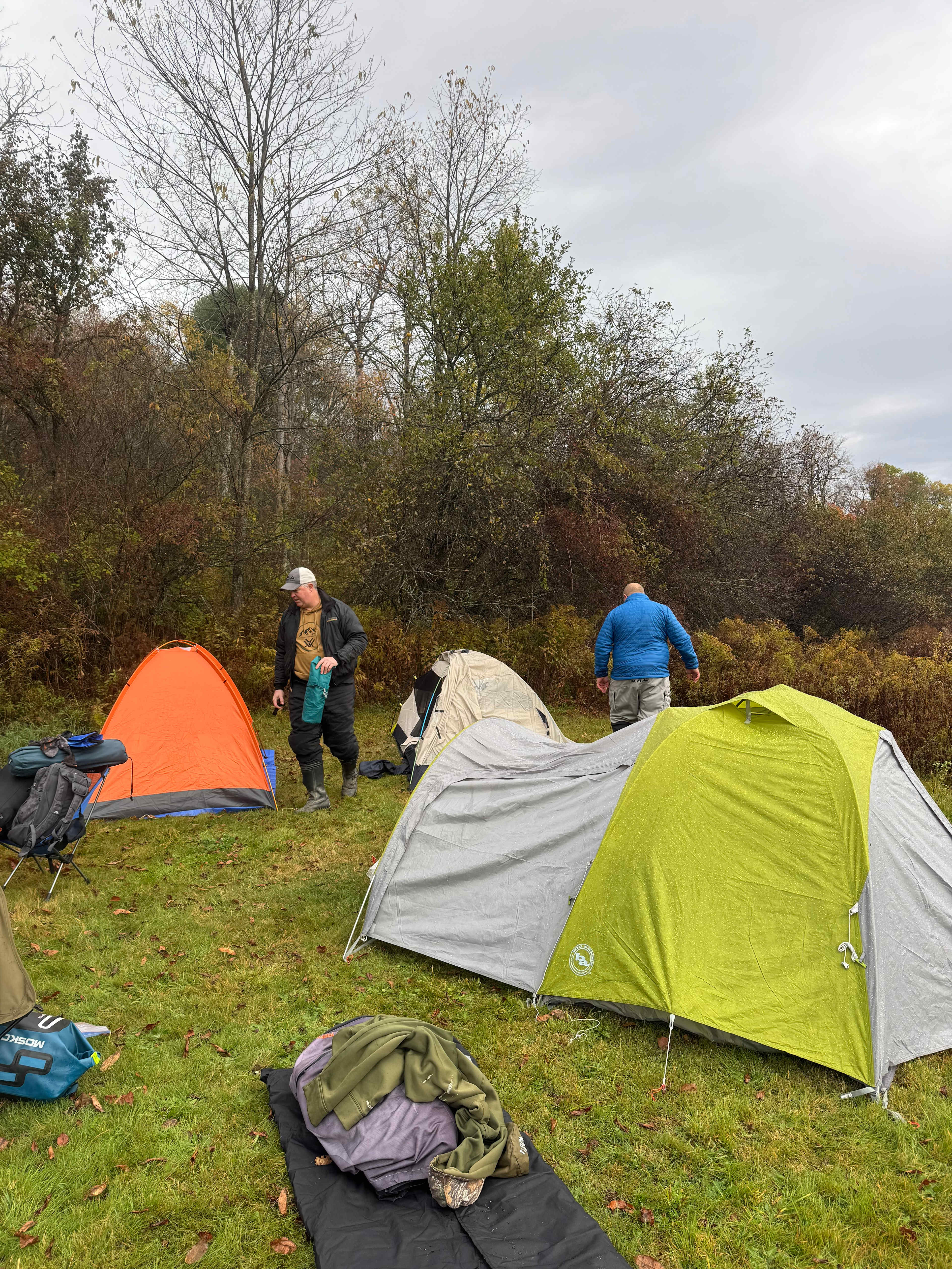 Stargazing Field at Olga Farm