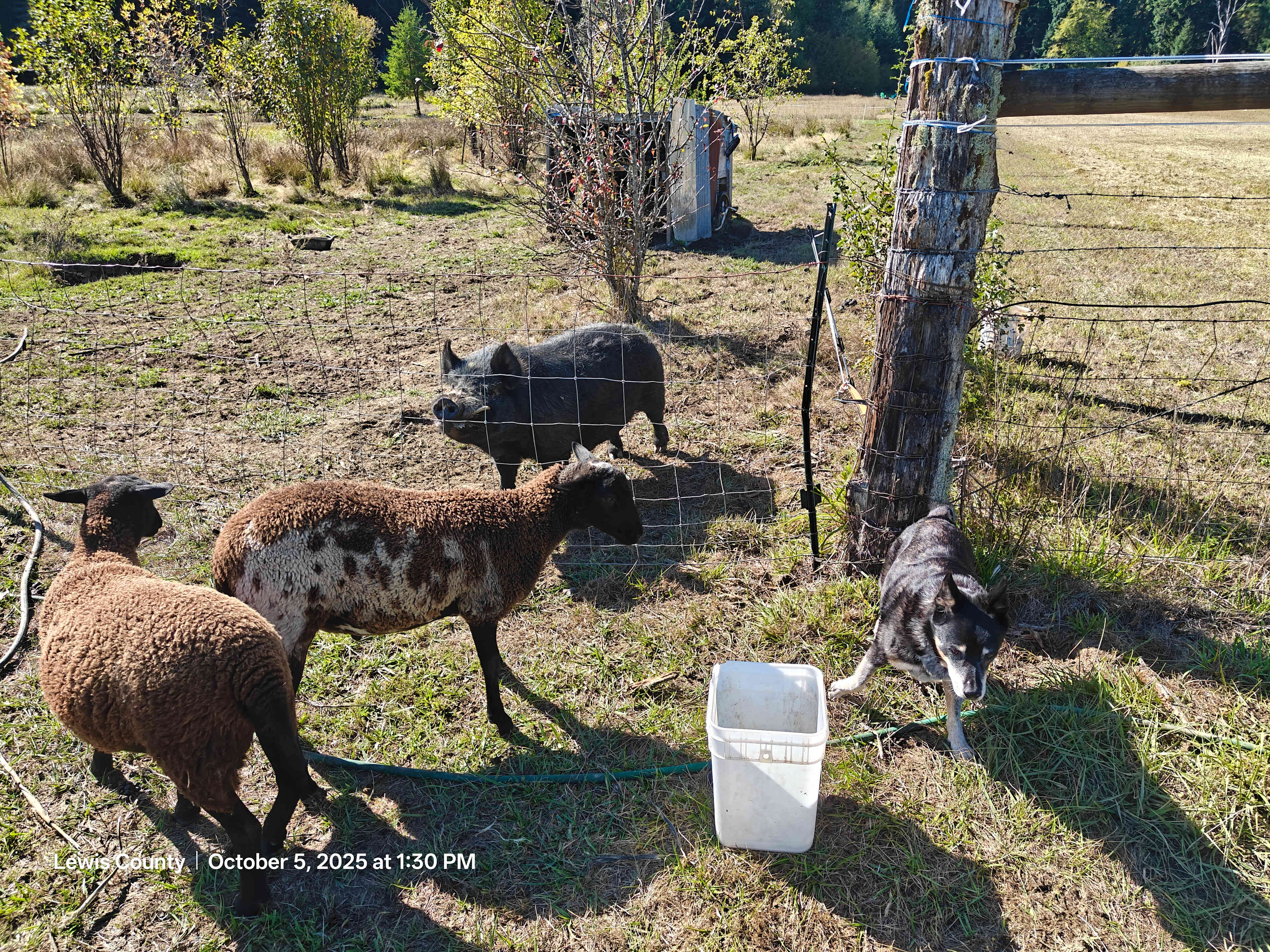 Lost Valley Farm Camp