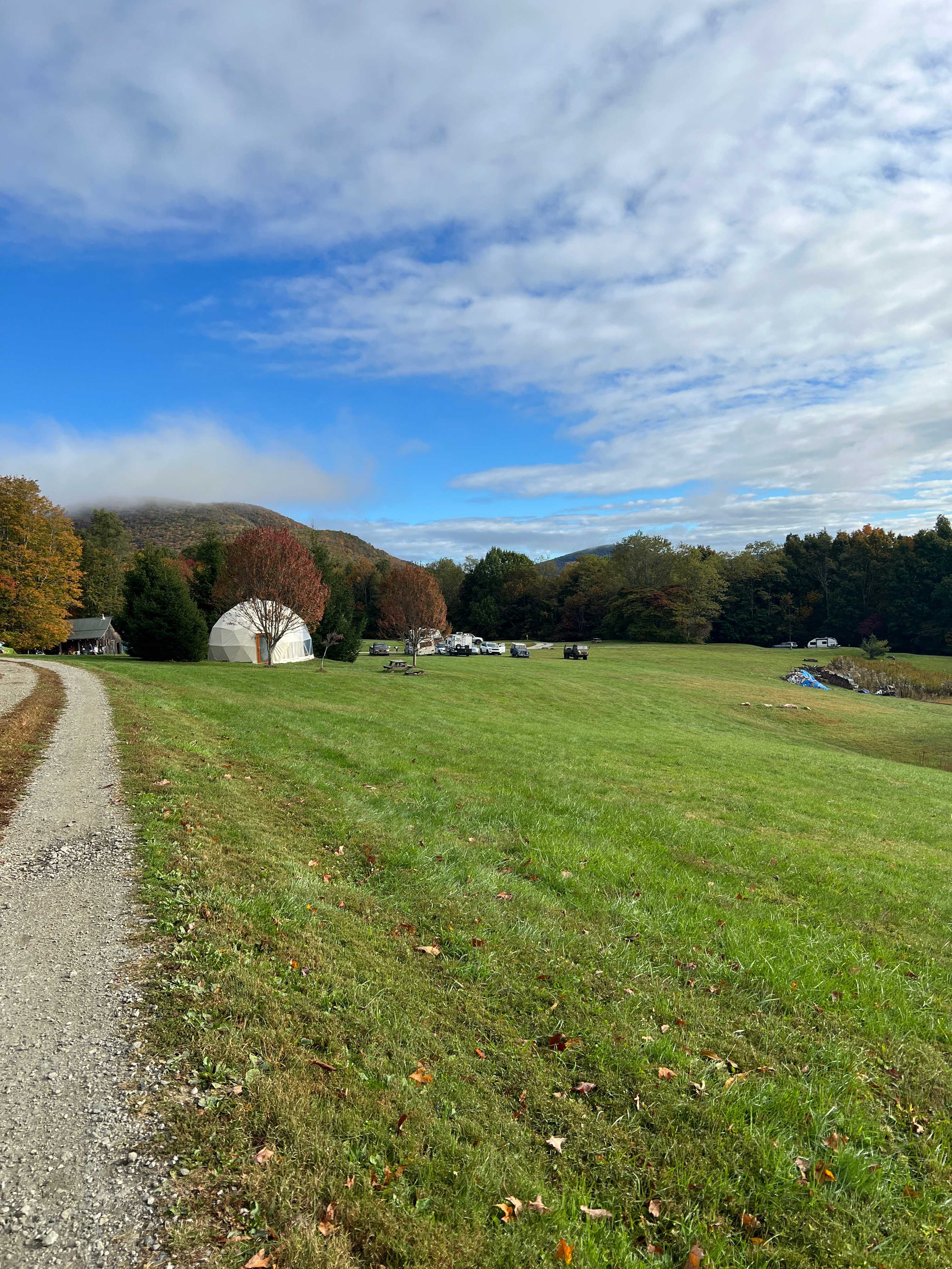 Blue Bear Mountain Camp