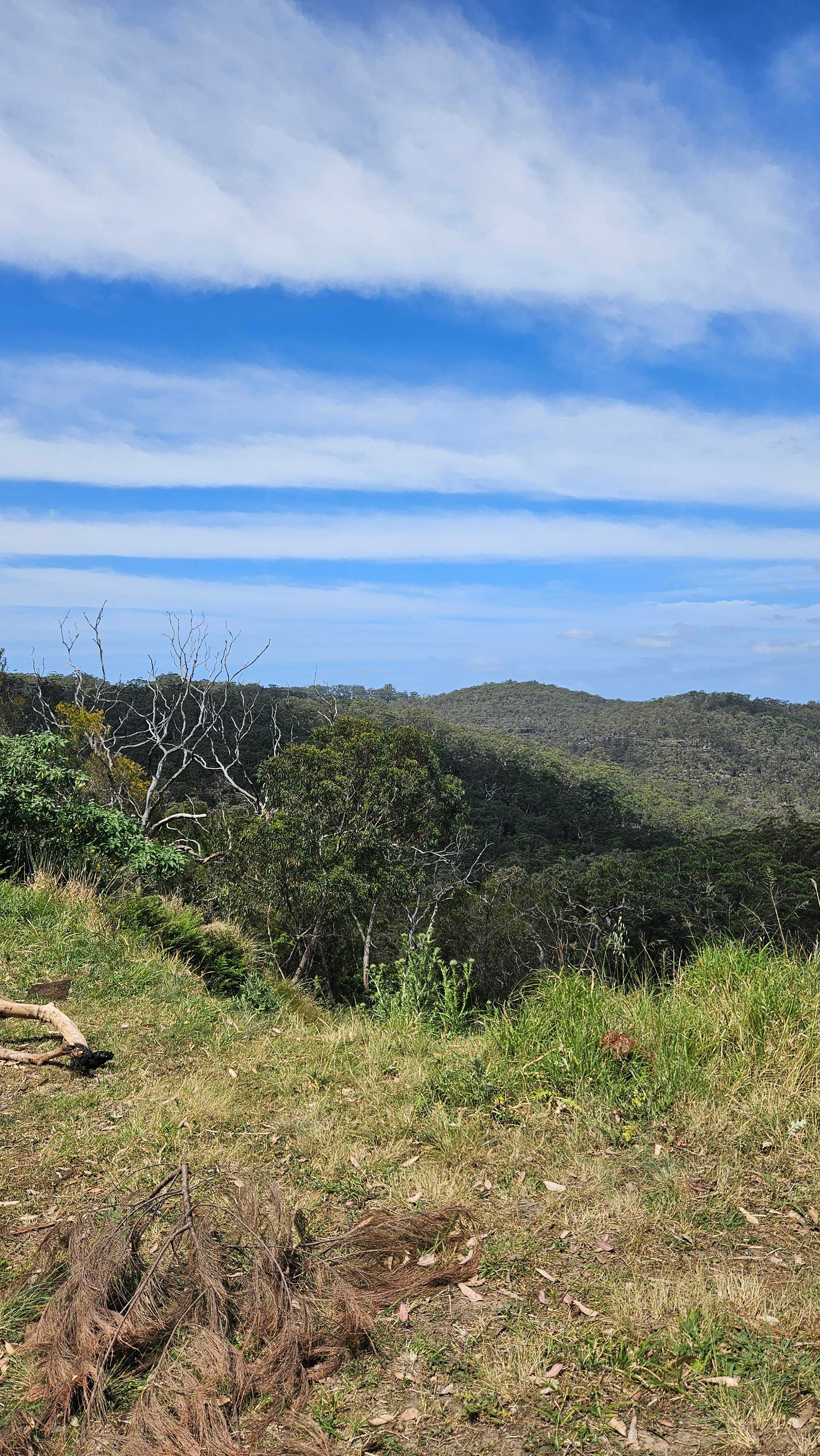 Canoelands Valley Camping