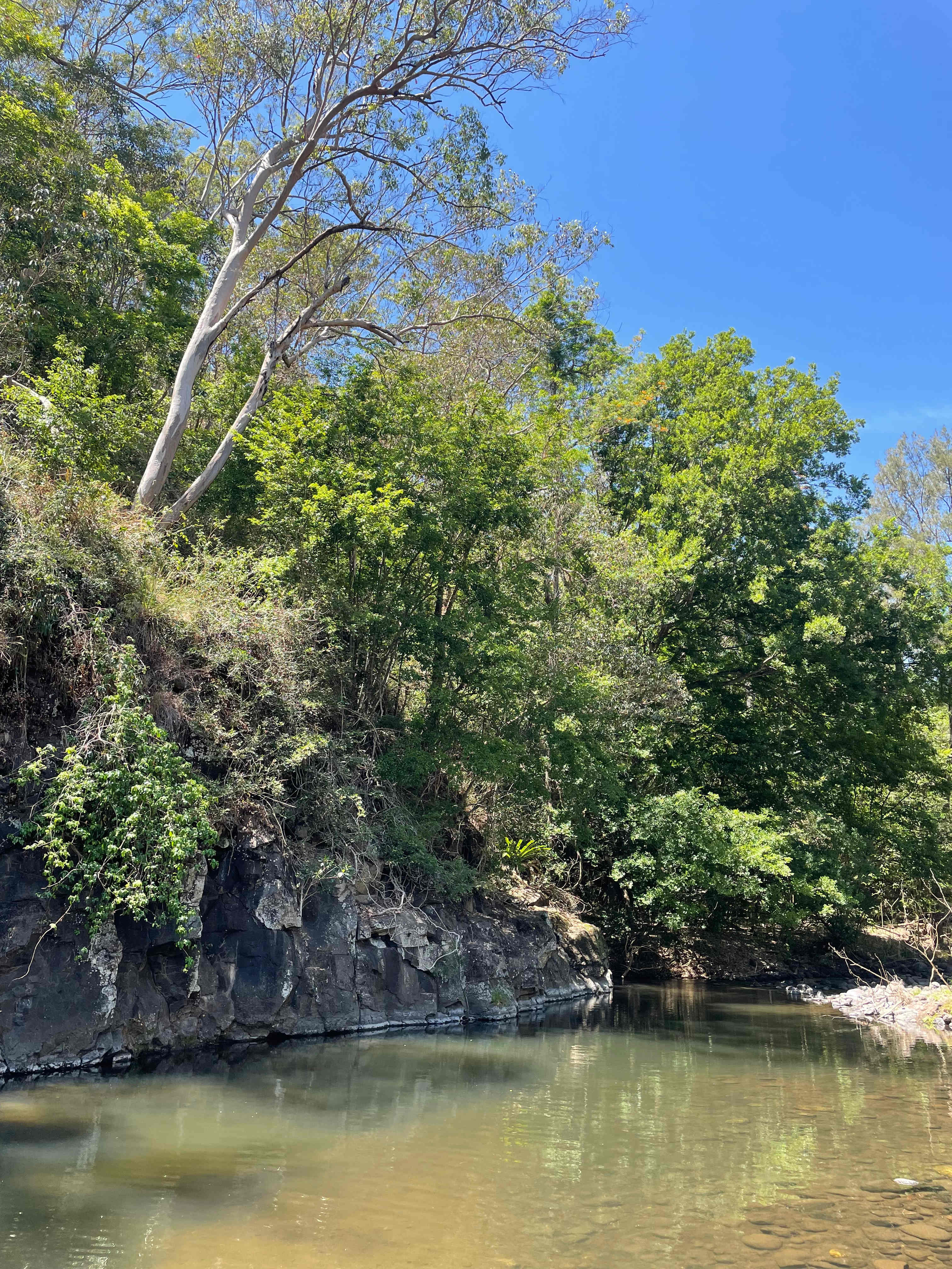 Christmas Creek Cedar Cabin & Camp
