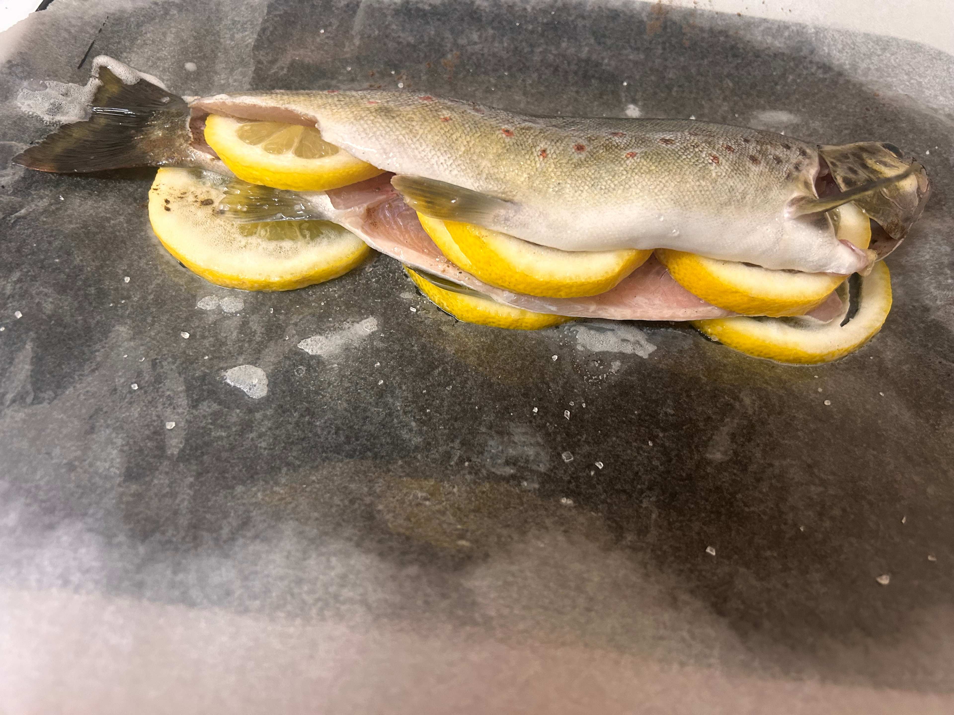 Bahwidgee on Tumut River