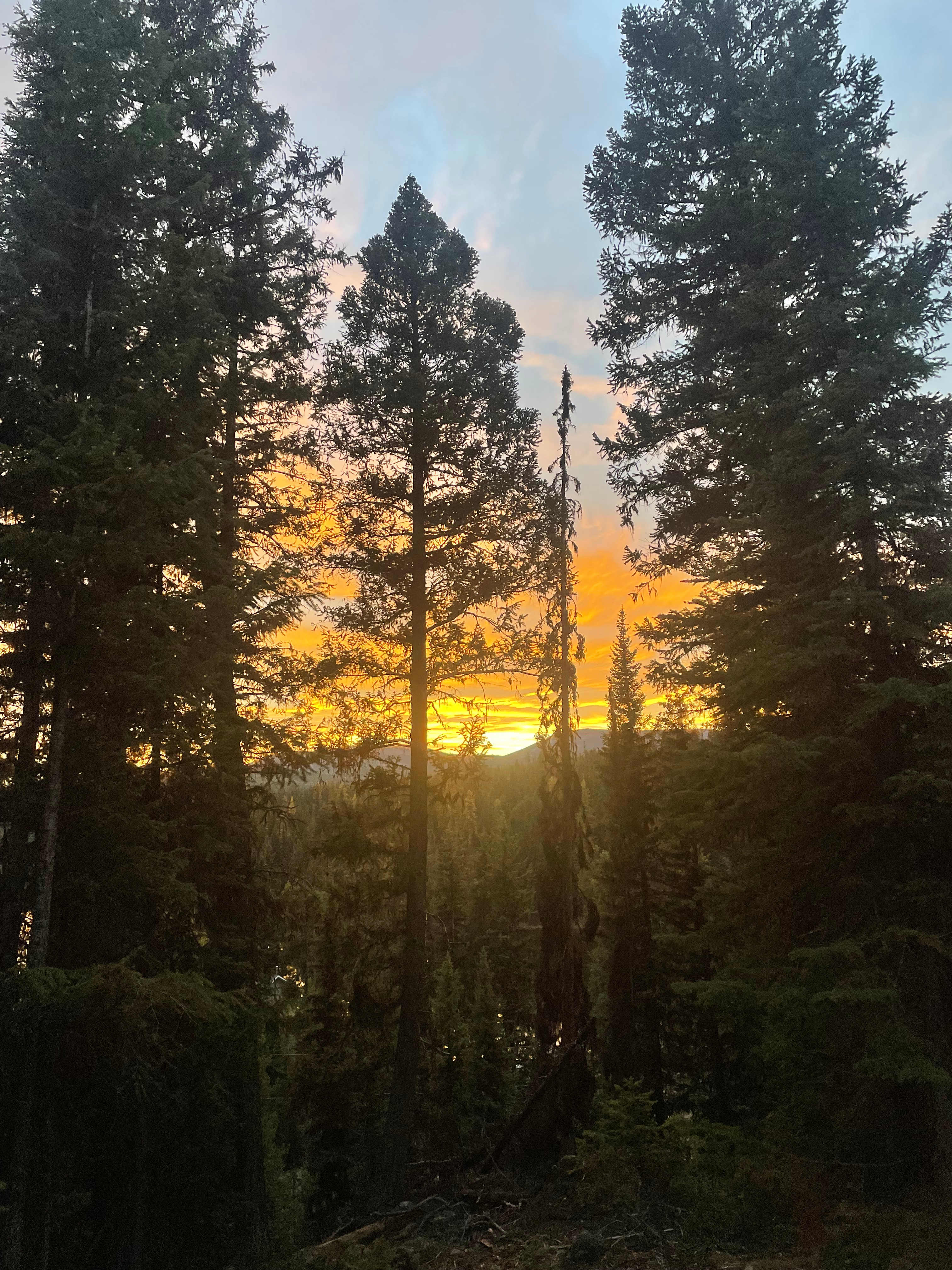 Idabel Mountain old growth escape