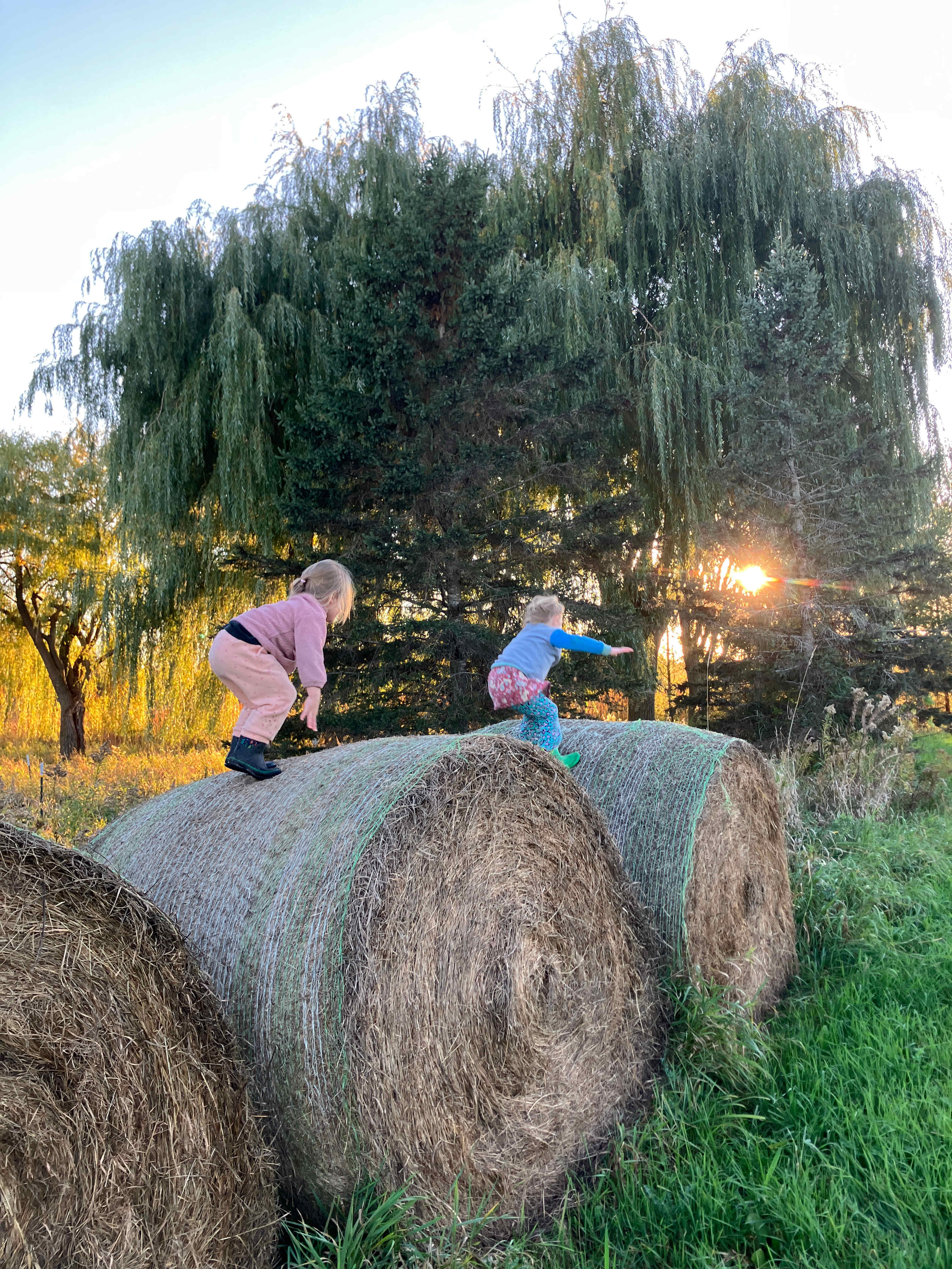 Fischer's Rolling Green Farm