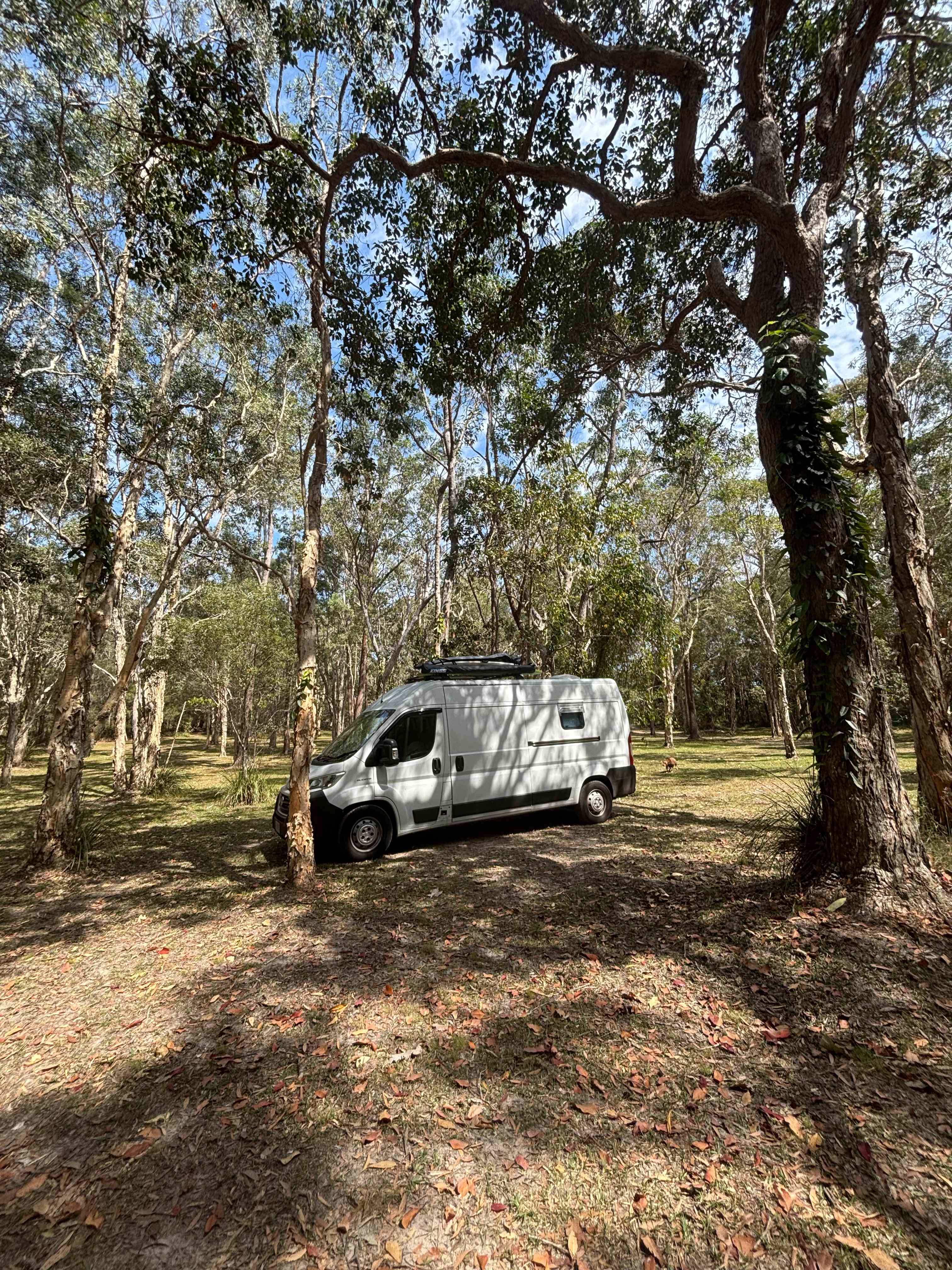 Noosa  Hinterland RV and Hip Camp