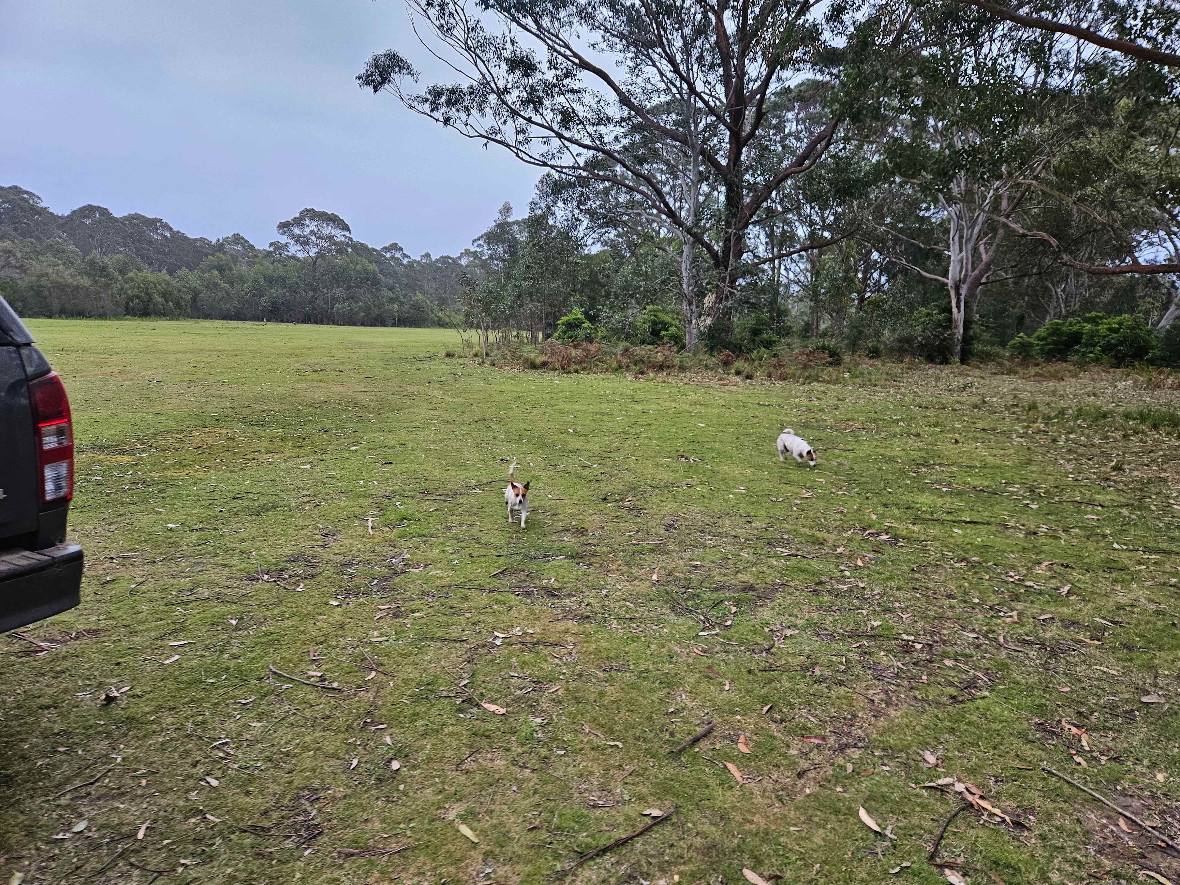 Babbling Brook 4WD Camping