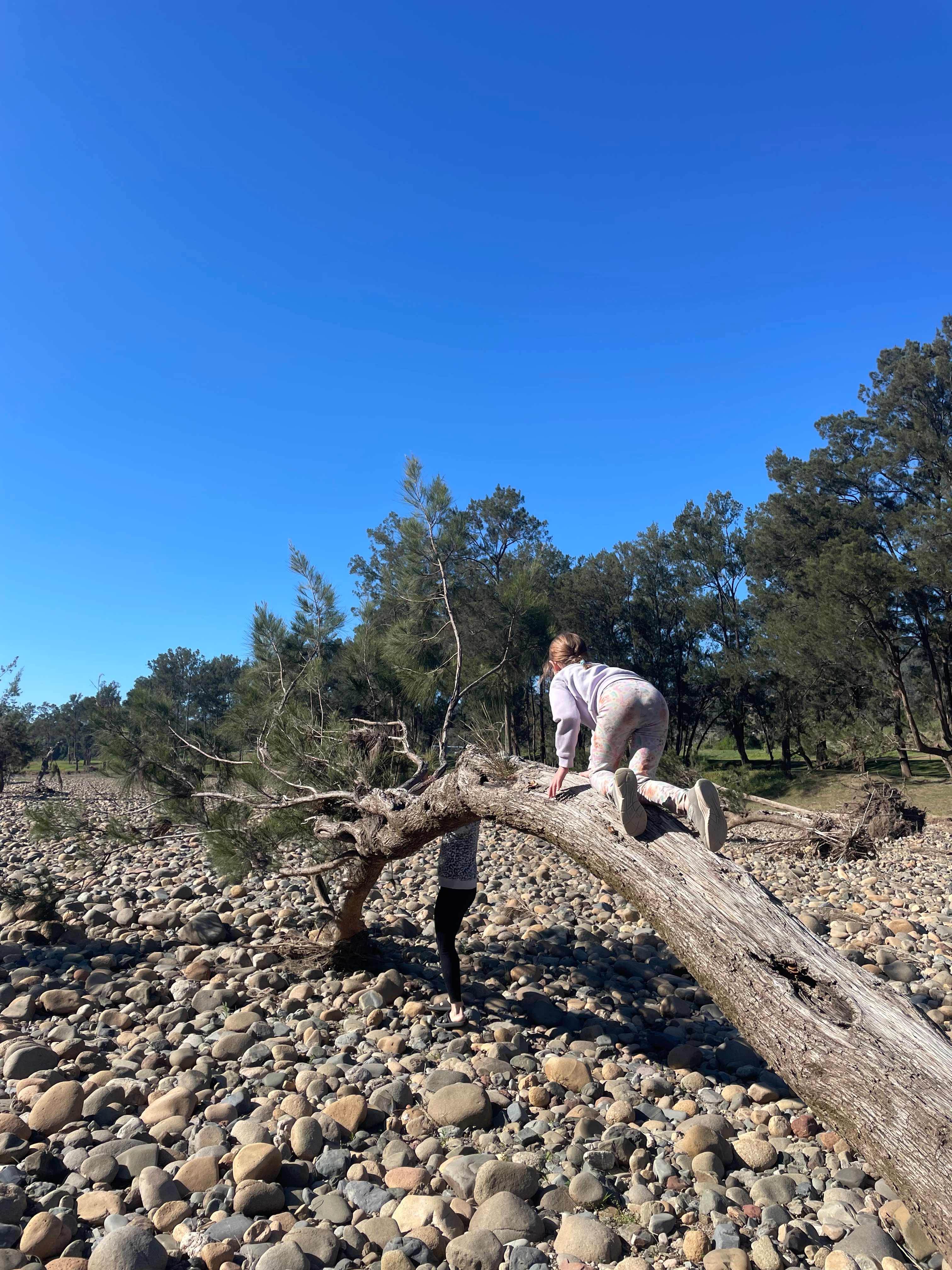 Mountainview Long Flat