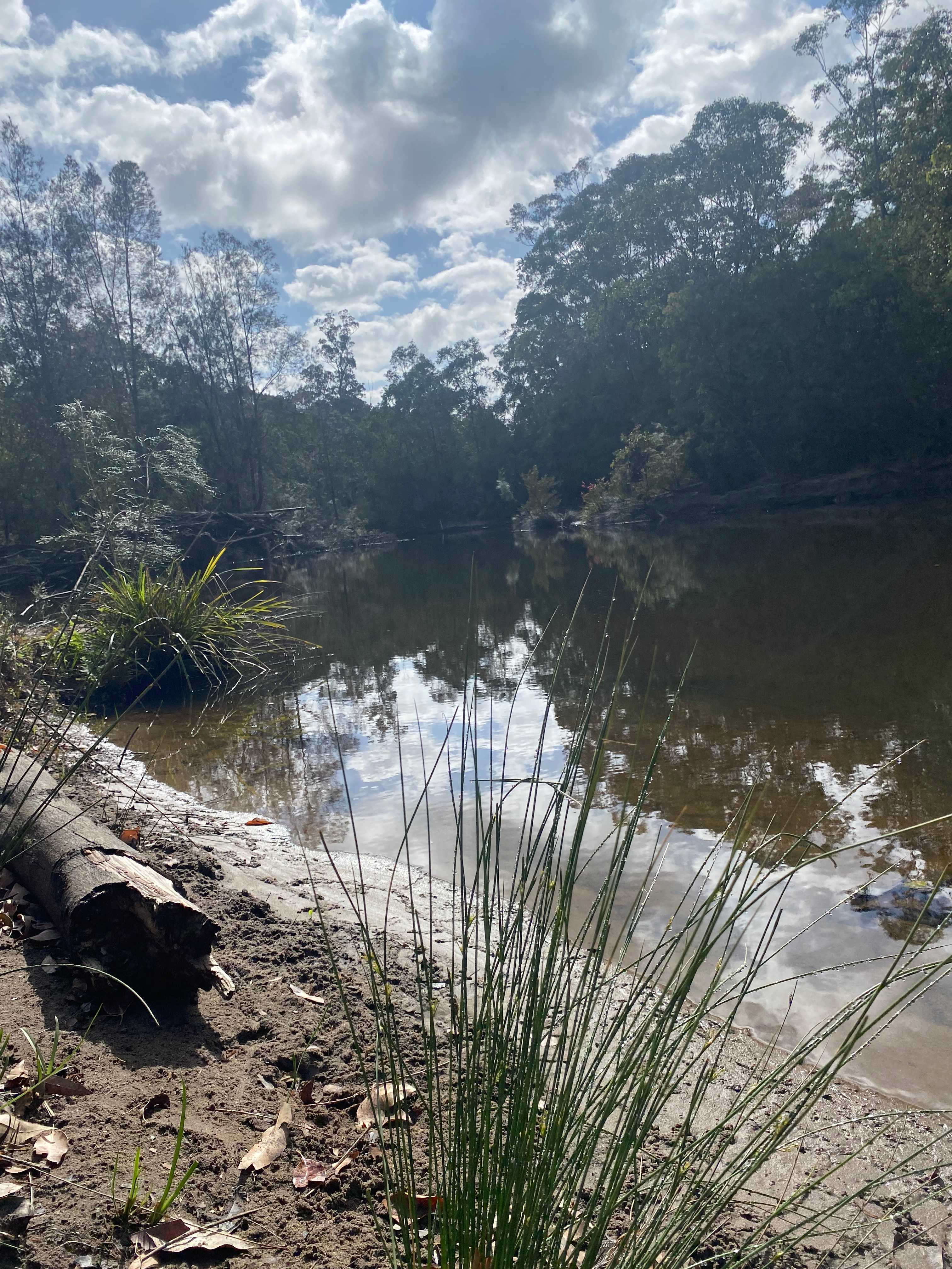 Fat Lamb Farm Camping