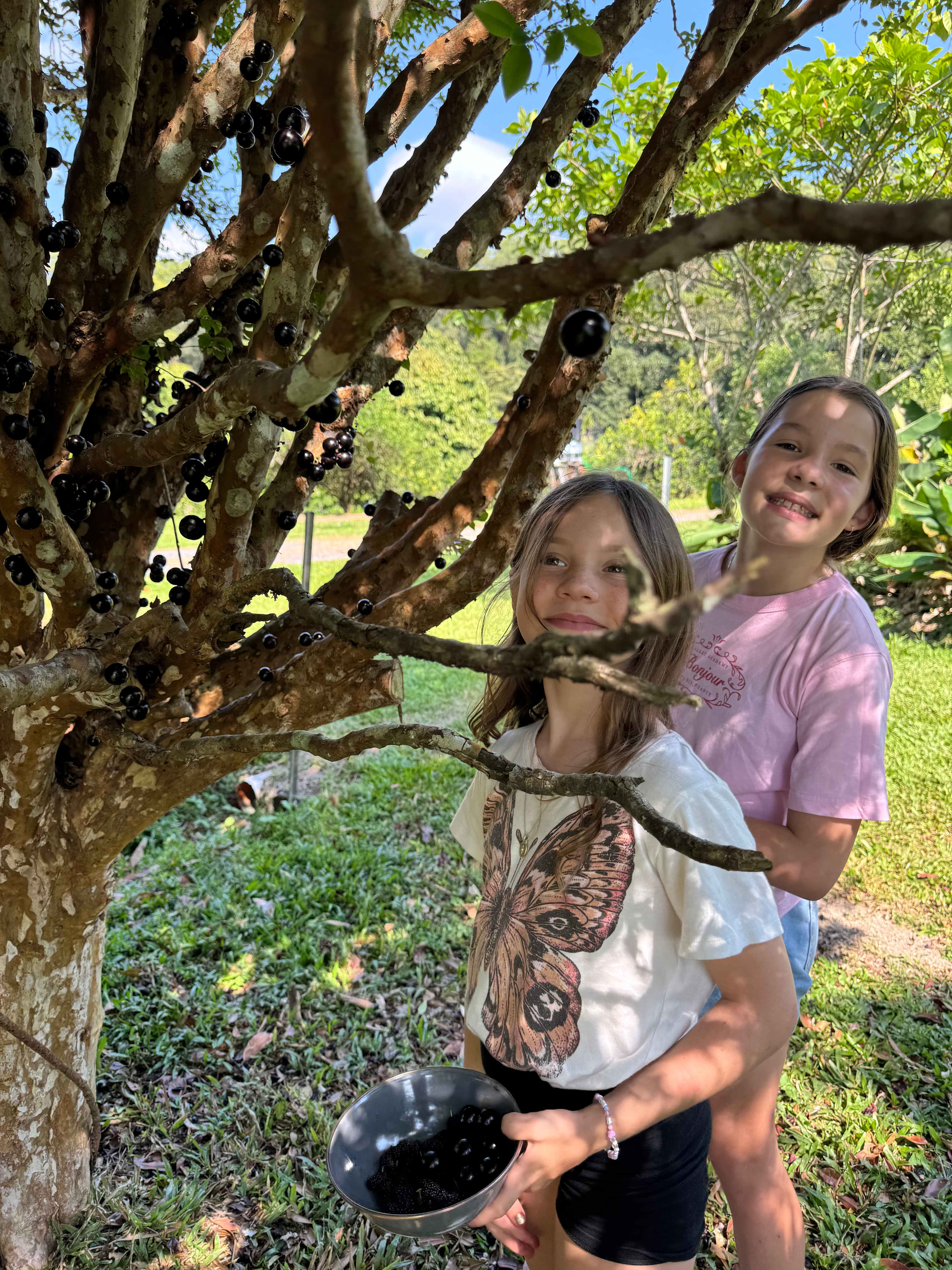 Daintree Exotics Camping