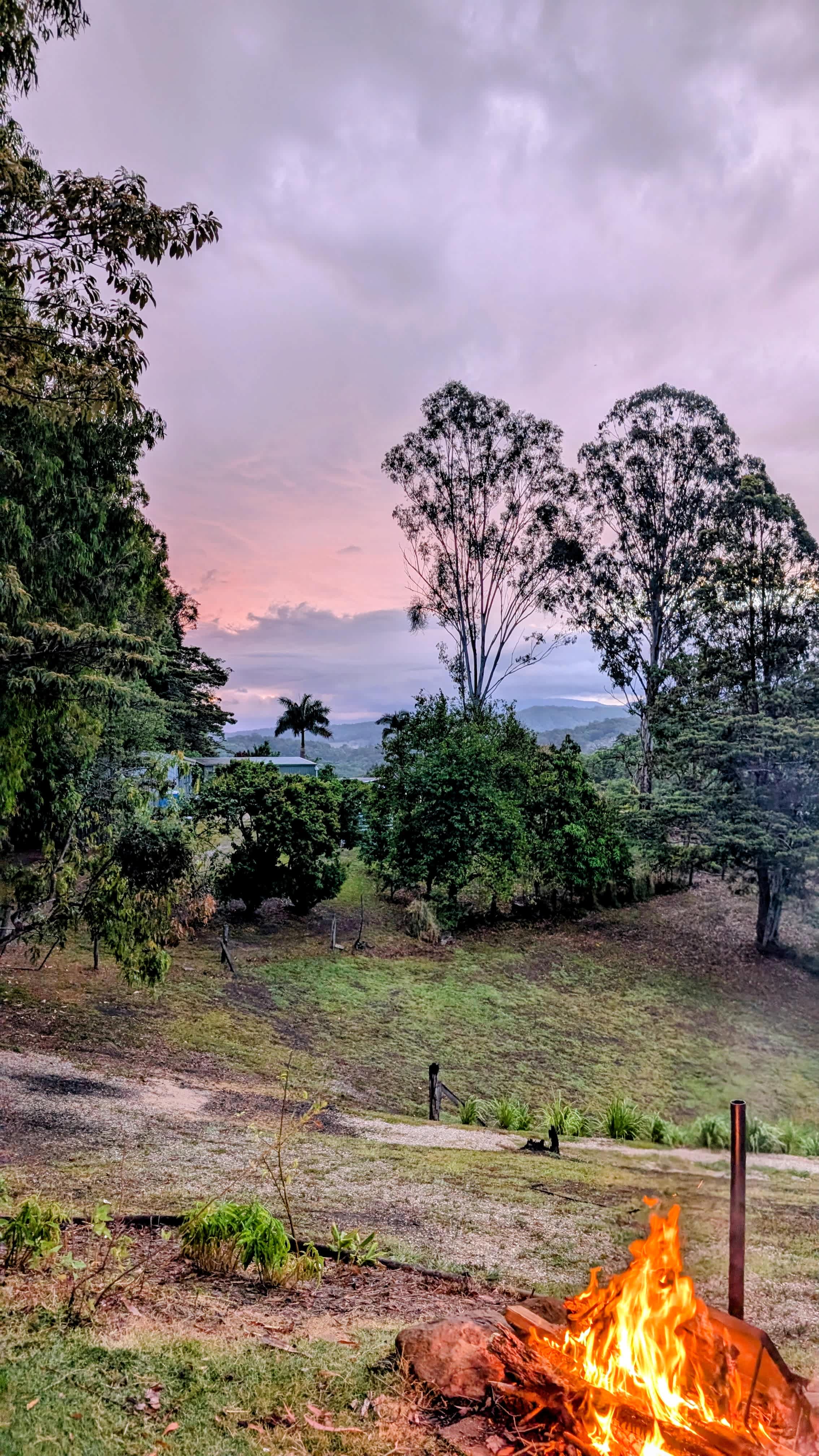 Sarah’s Farm🕊️ 4wd only