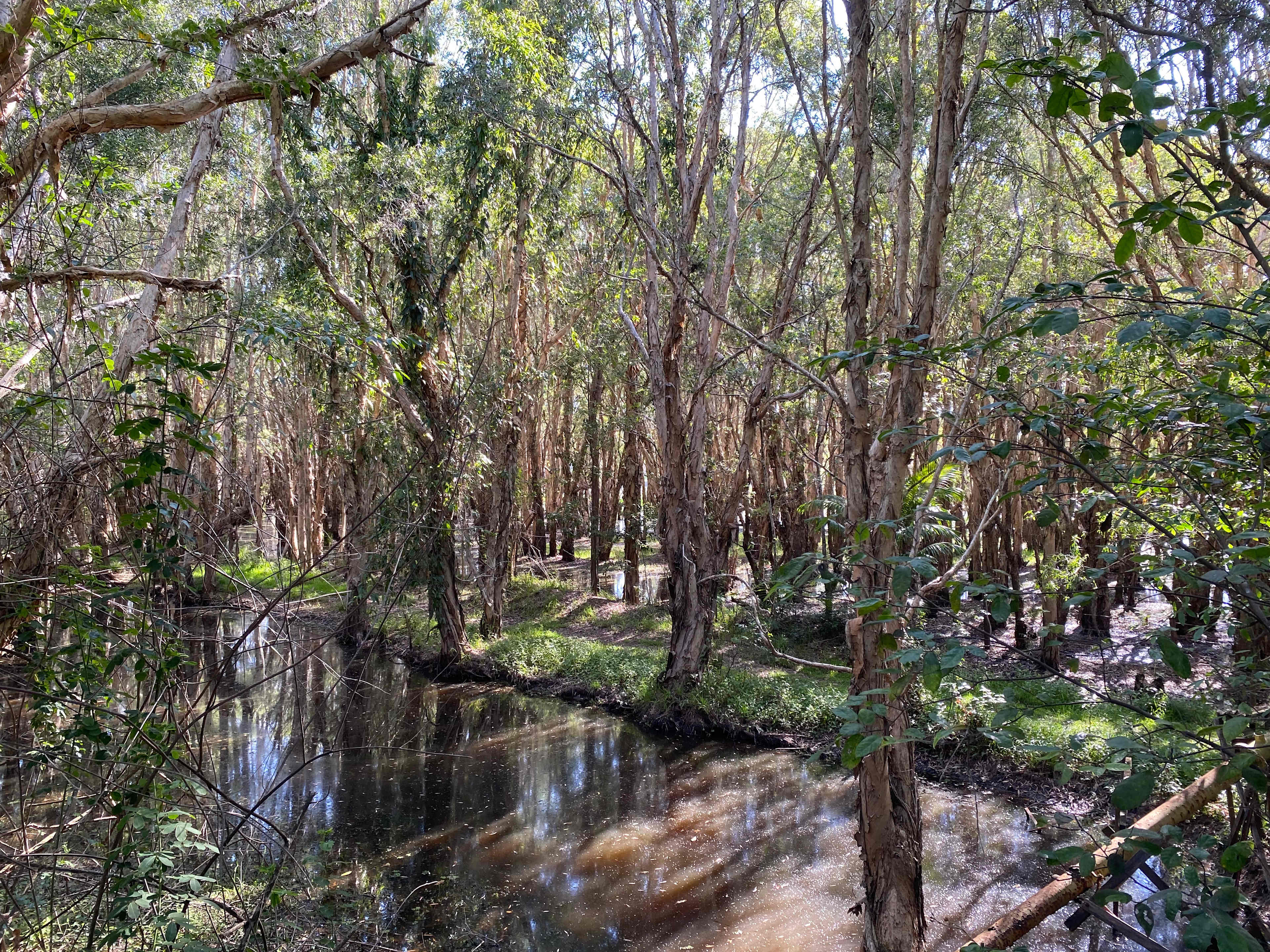 Bushywood at Woodfordskilake