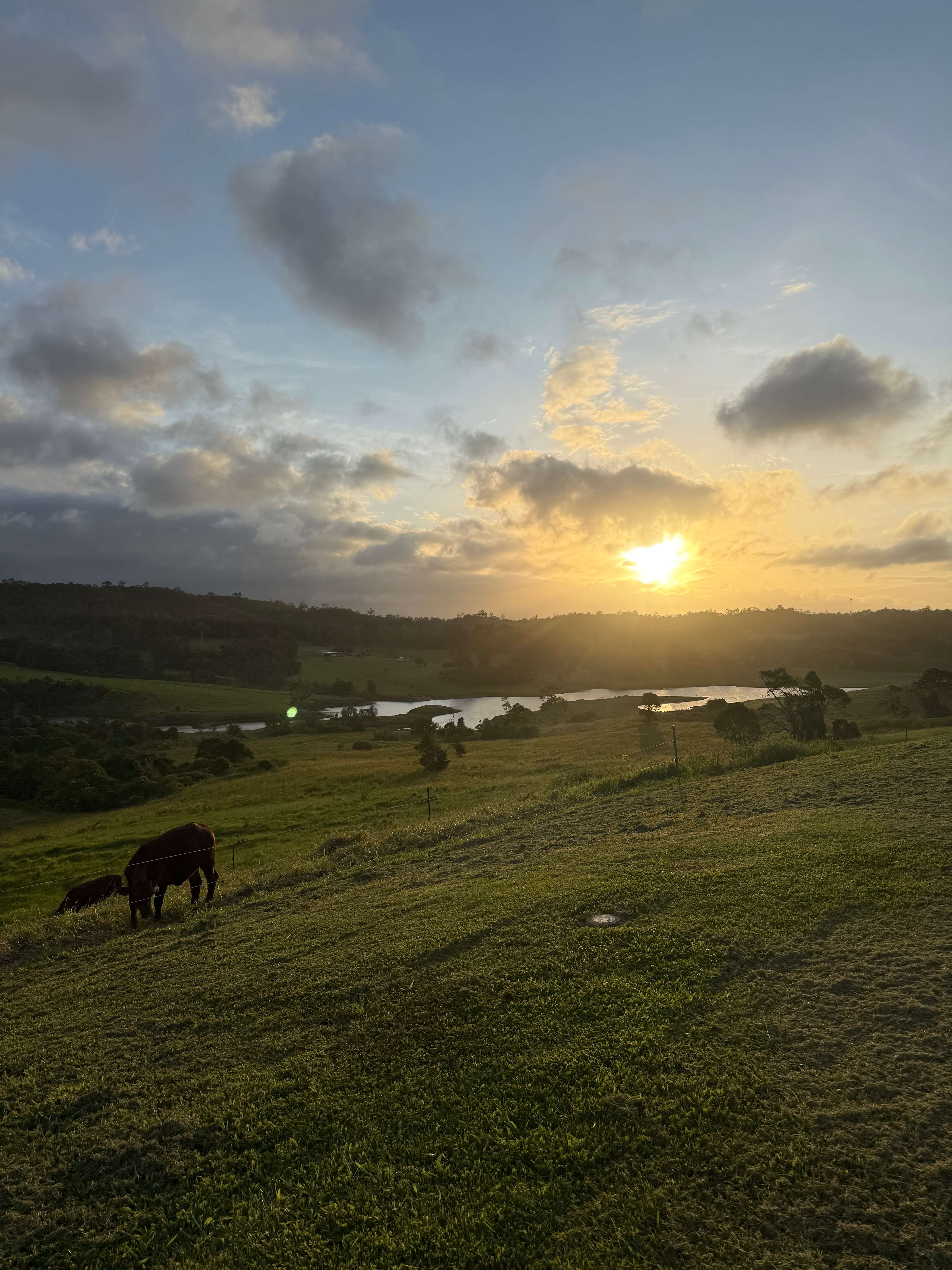 Wakana Ridge Homestead