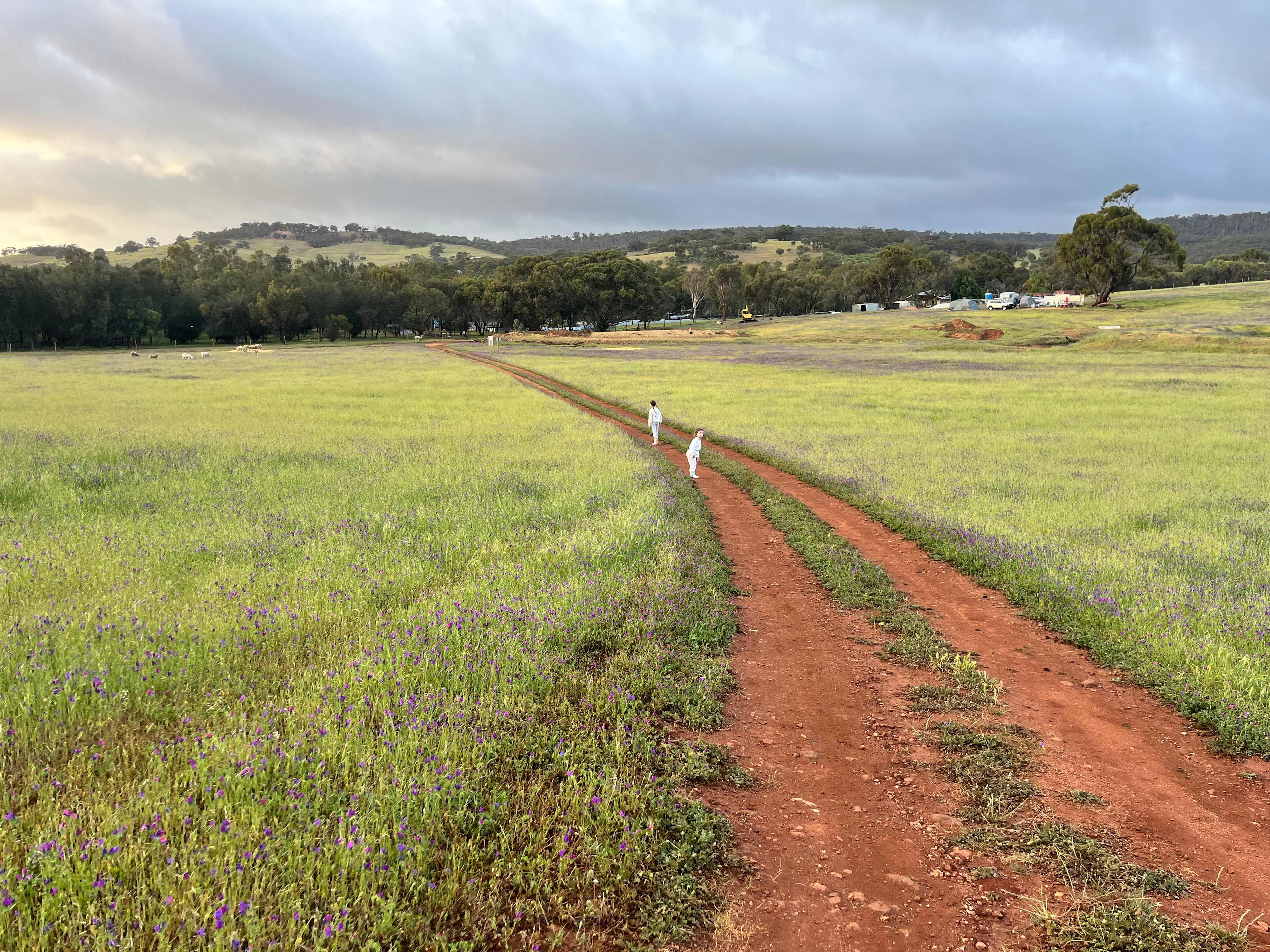 Sandalwood Downs  Farm Stay Toodyay