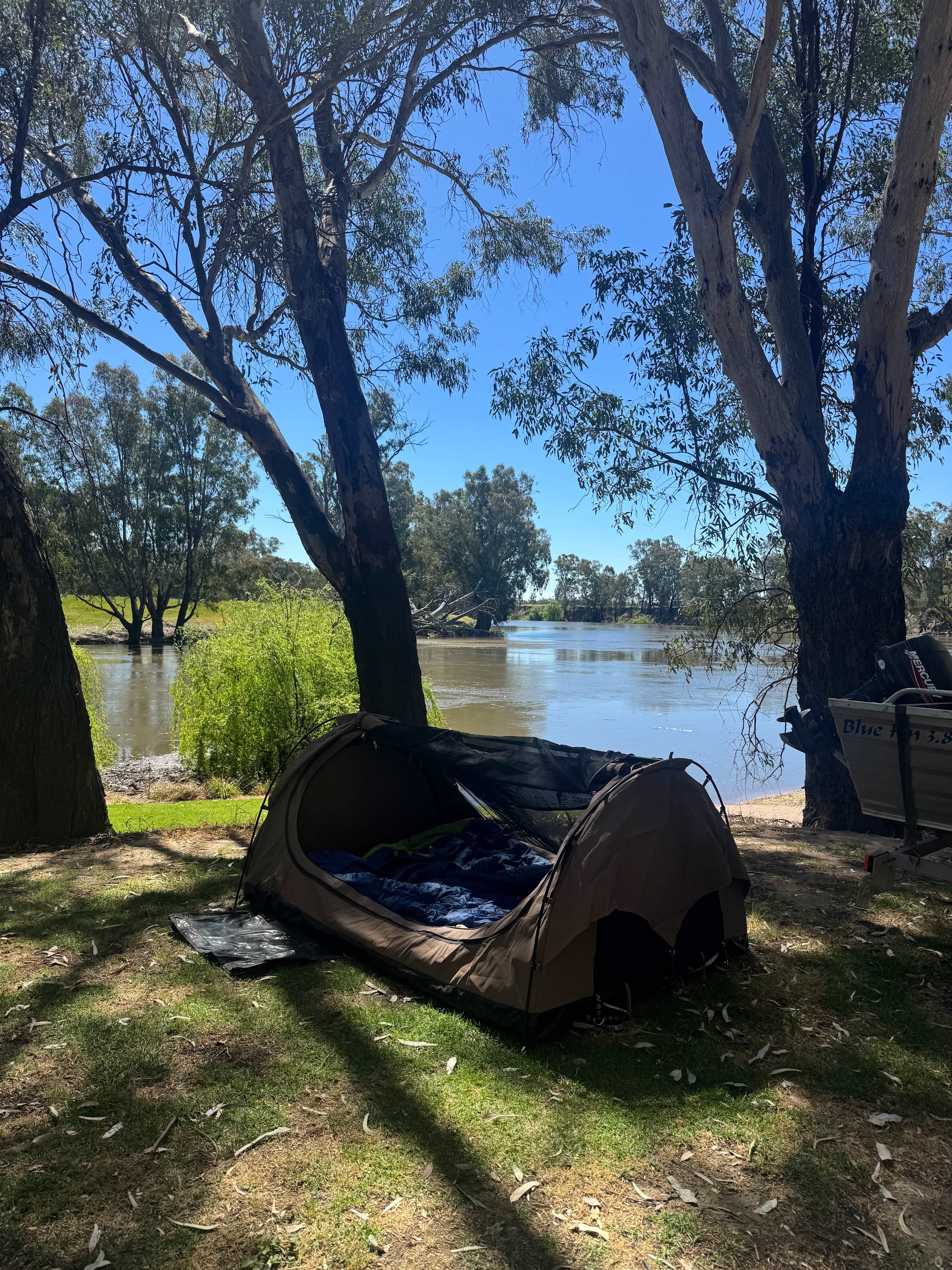 Palm Cove On The Murrumbidgee