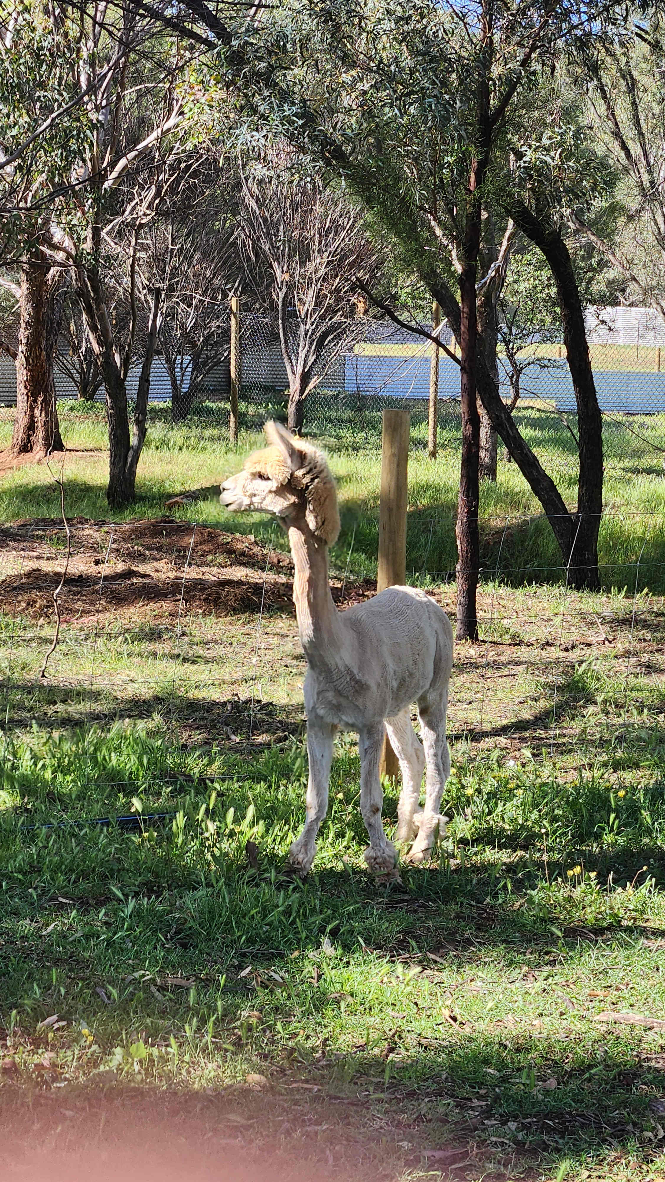 Sandalwood Downs  Farm Stay Toodyay