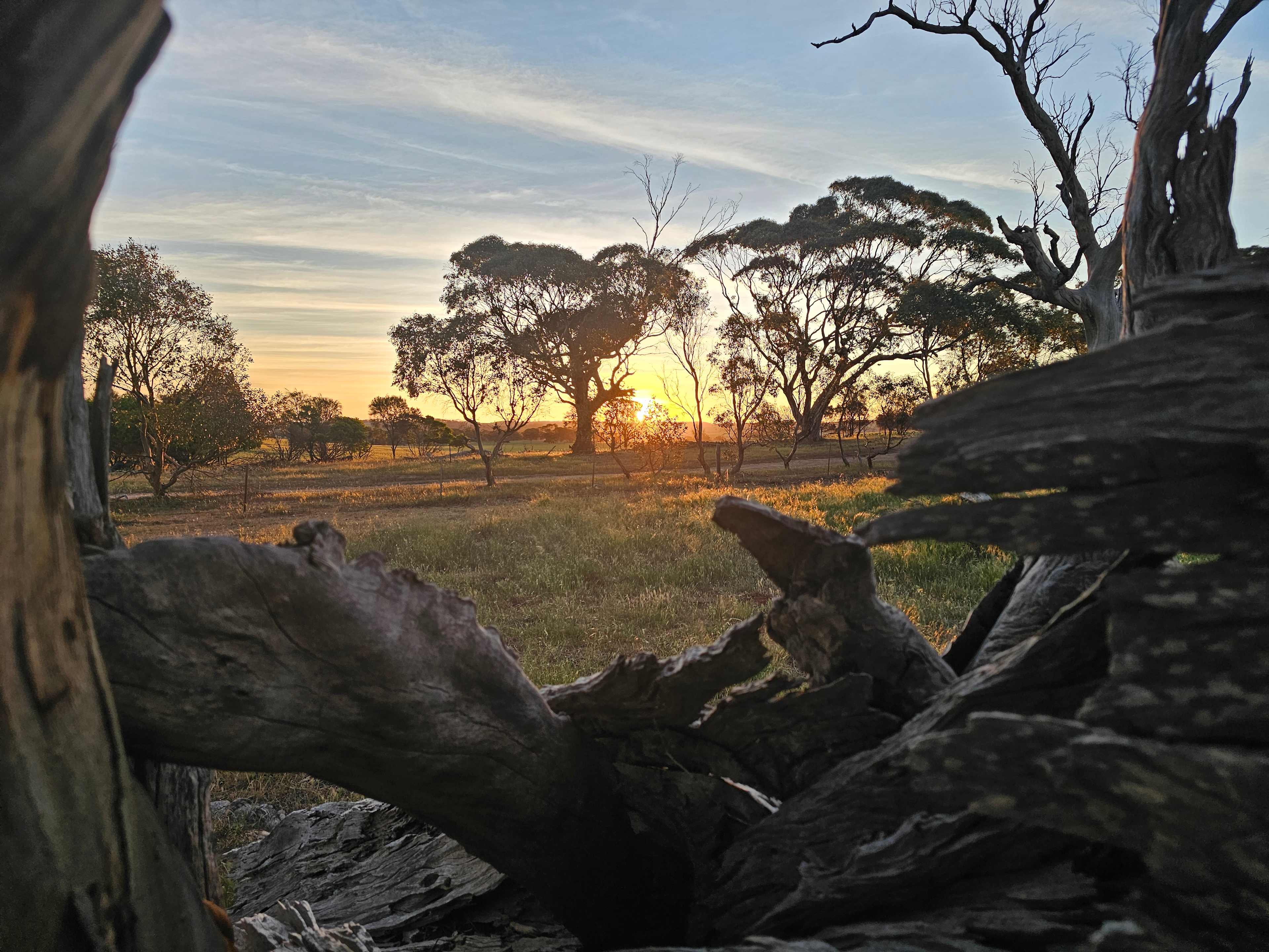 Downhill Run Camping