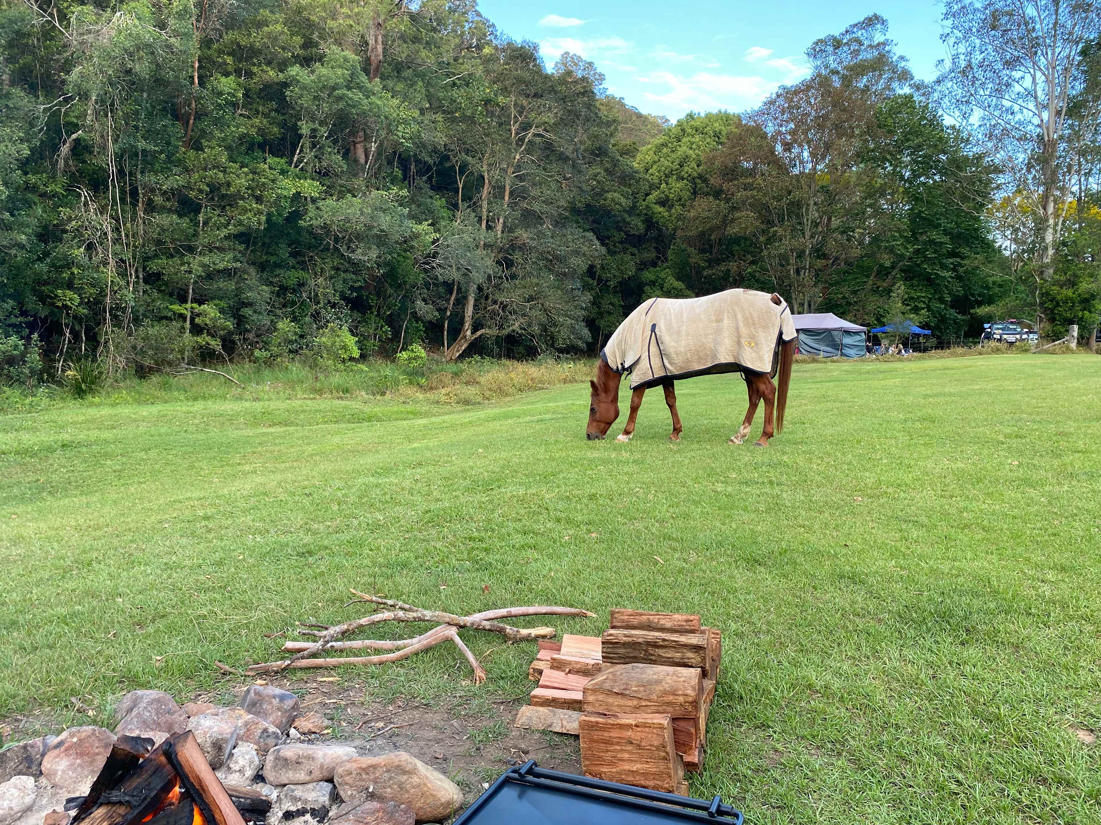 Rowlands Creek Camp Area