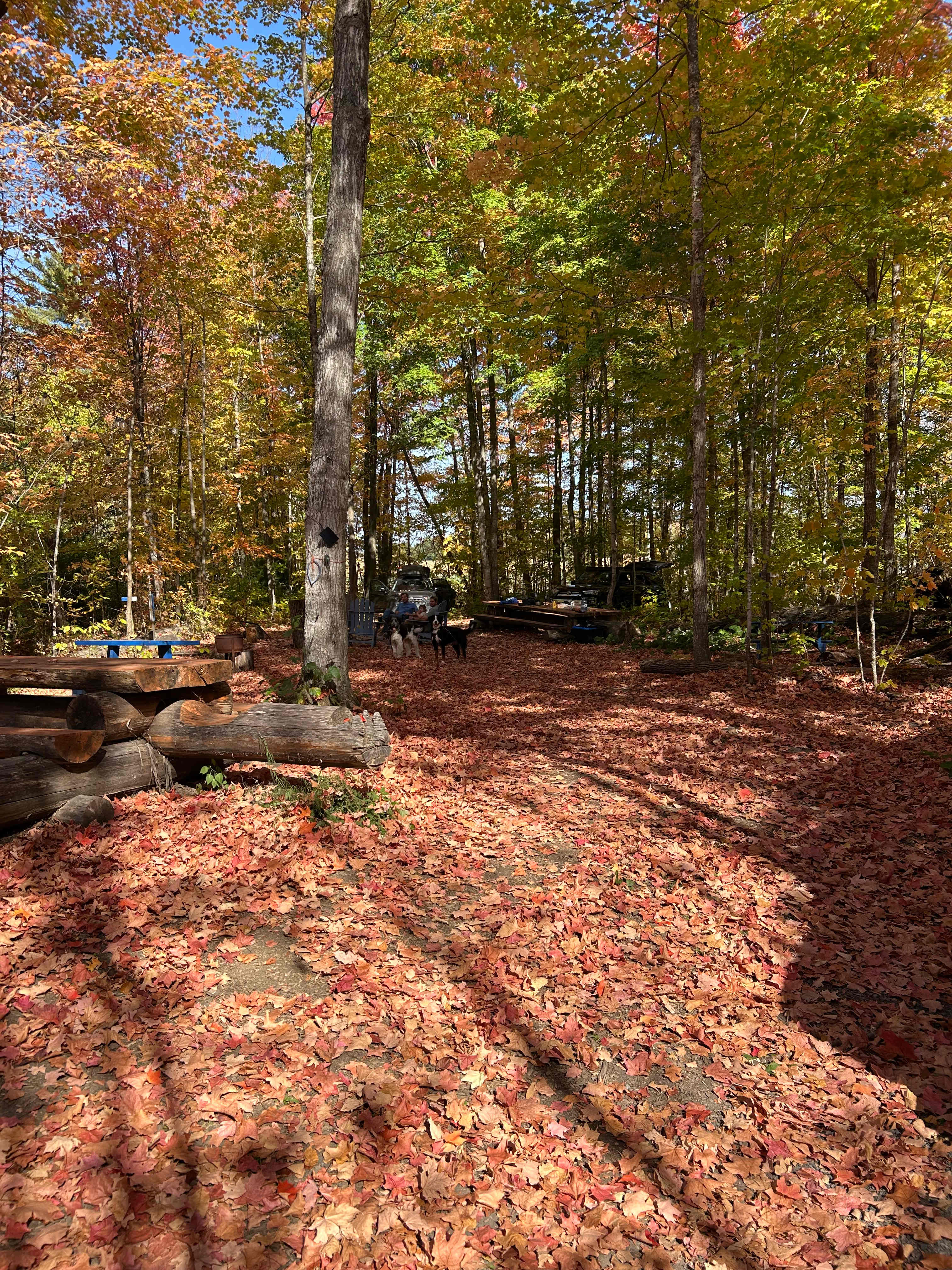 Cartwright Springs Brewery