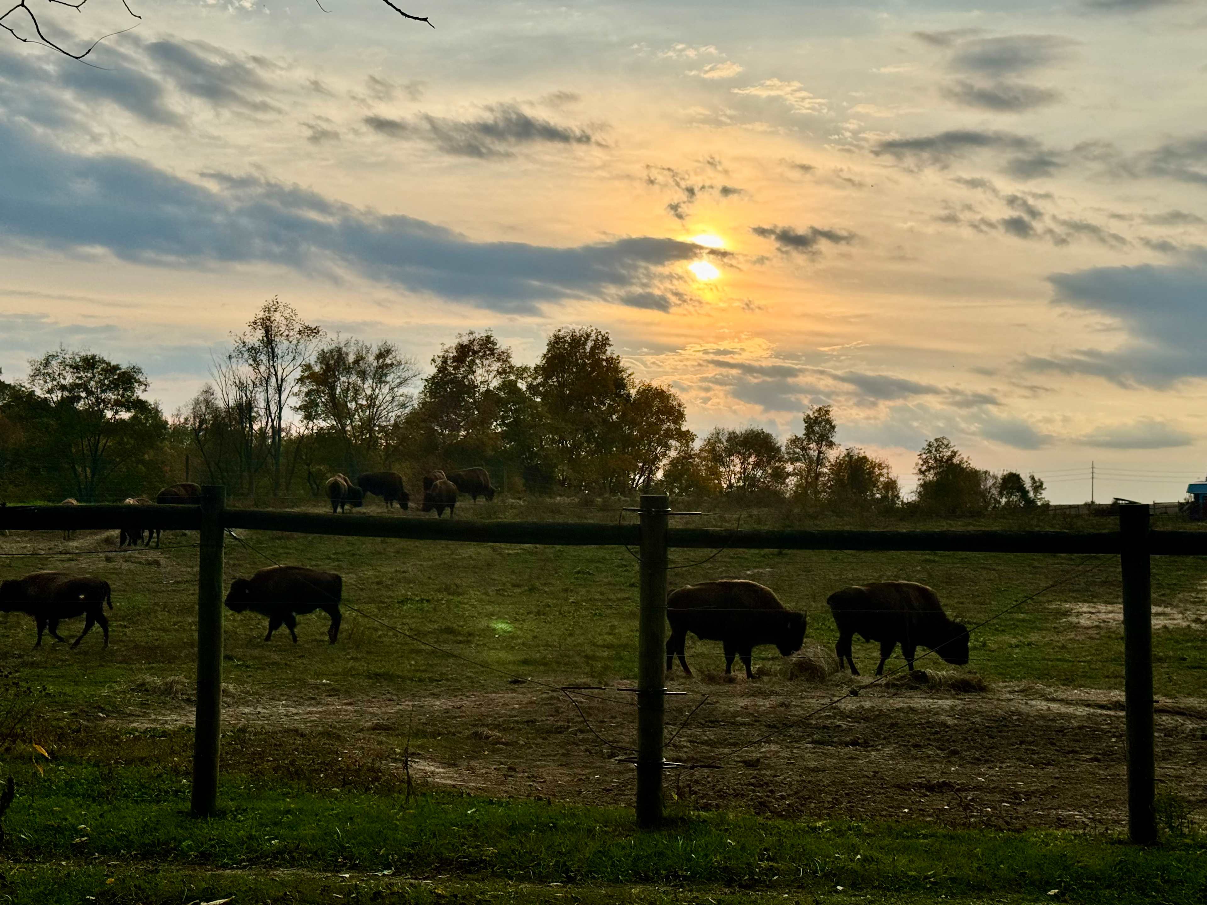 Cherokee Valley Bison Ranch Creekside Retreat