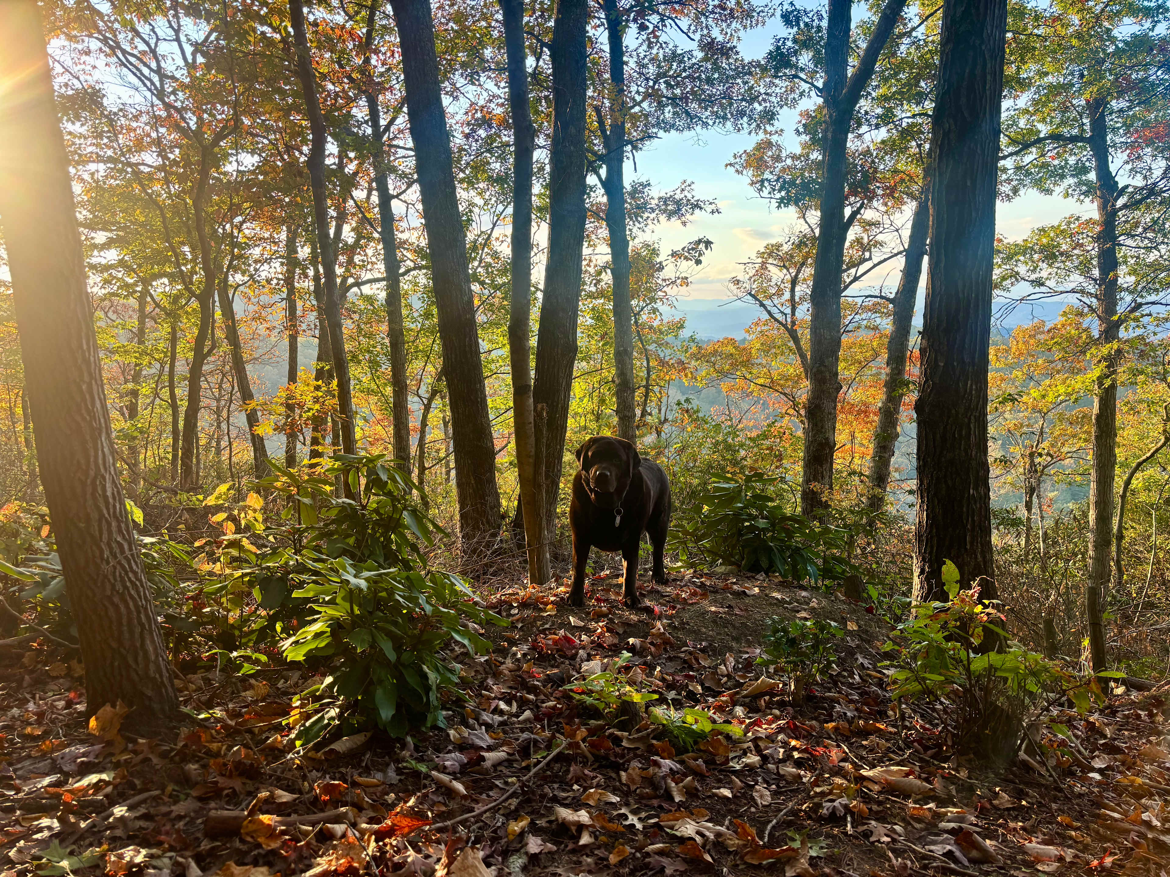 Green Haven, Primitive Camping