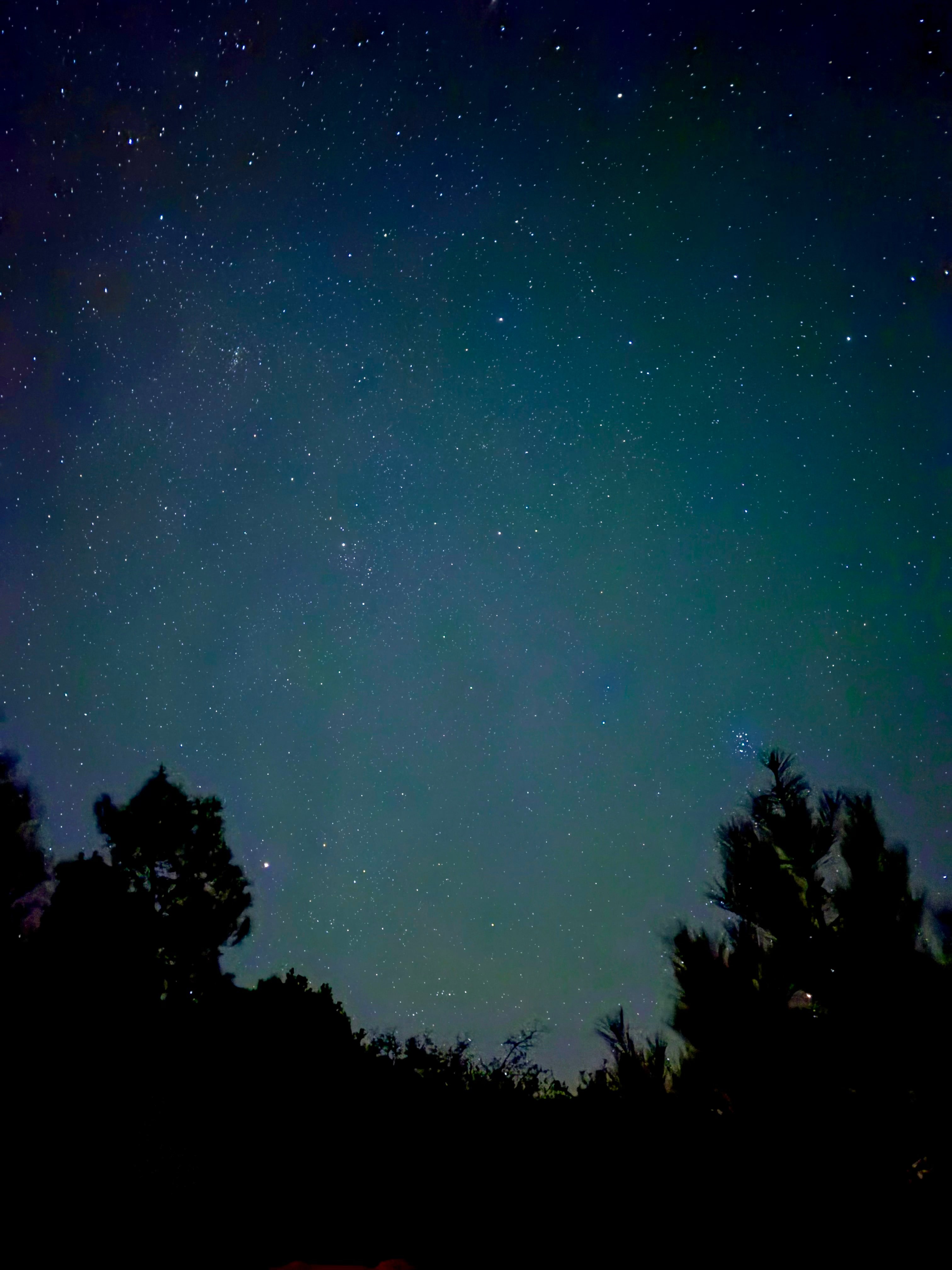 Fun if you have a star gazing app