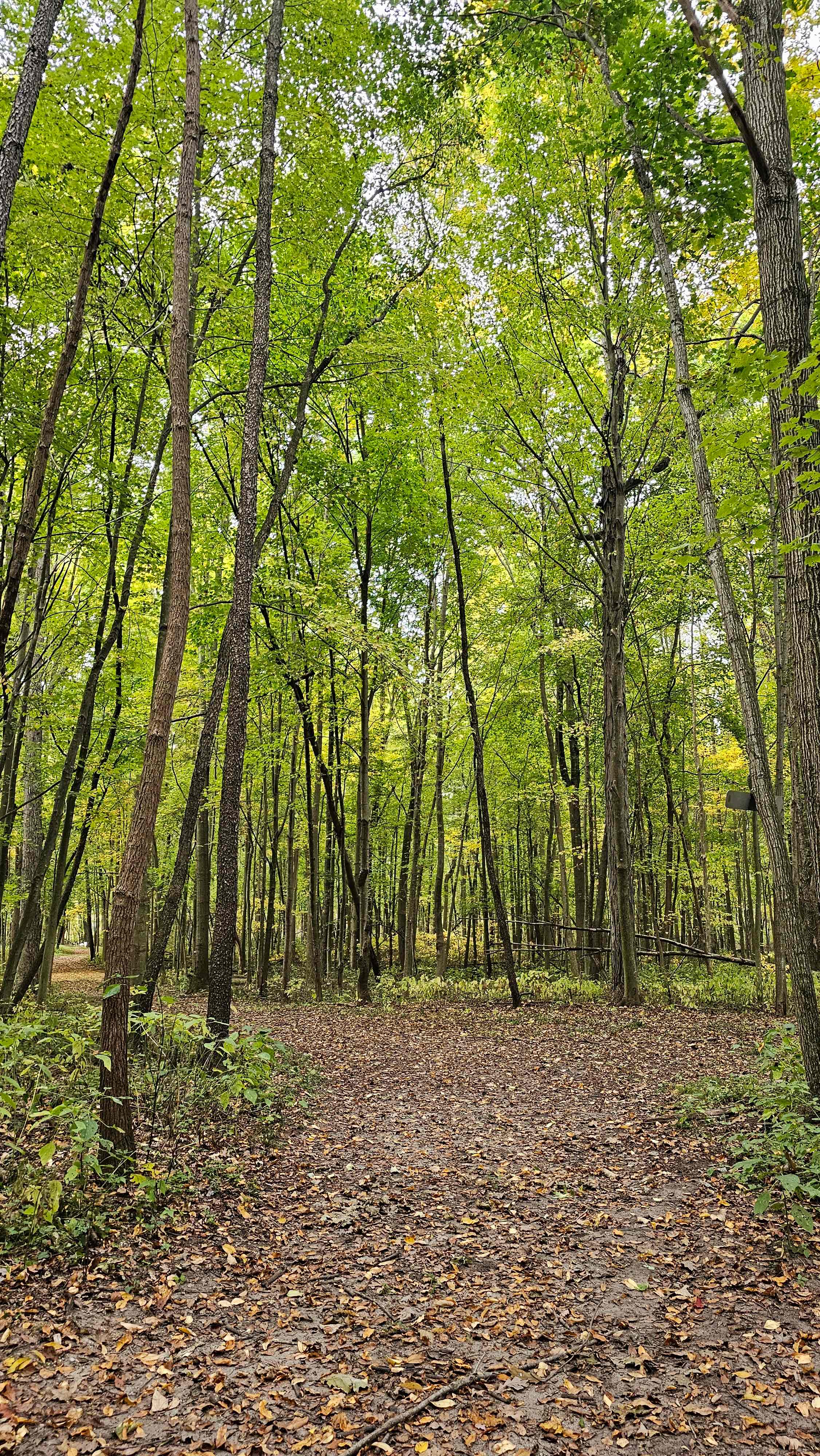 Mirror Lake Bunkhouse llc