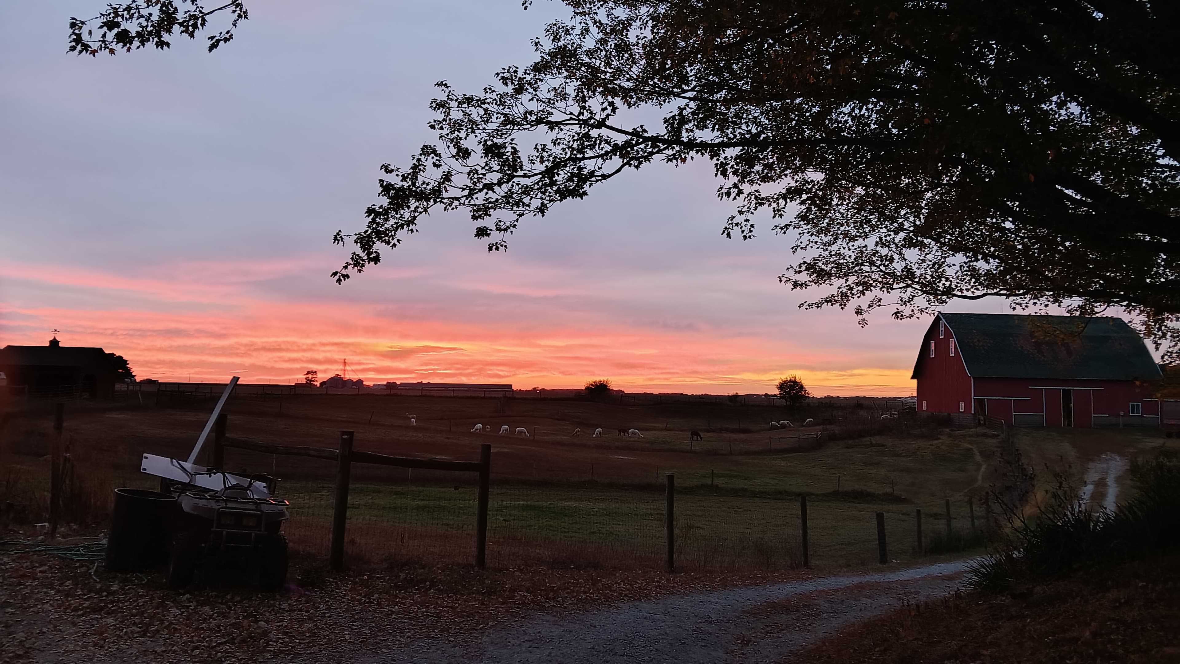 Heritage Farm Stay Adventure