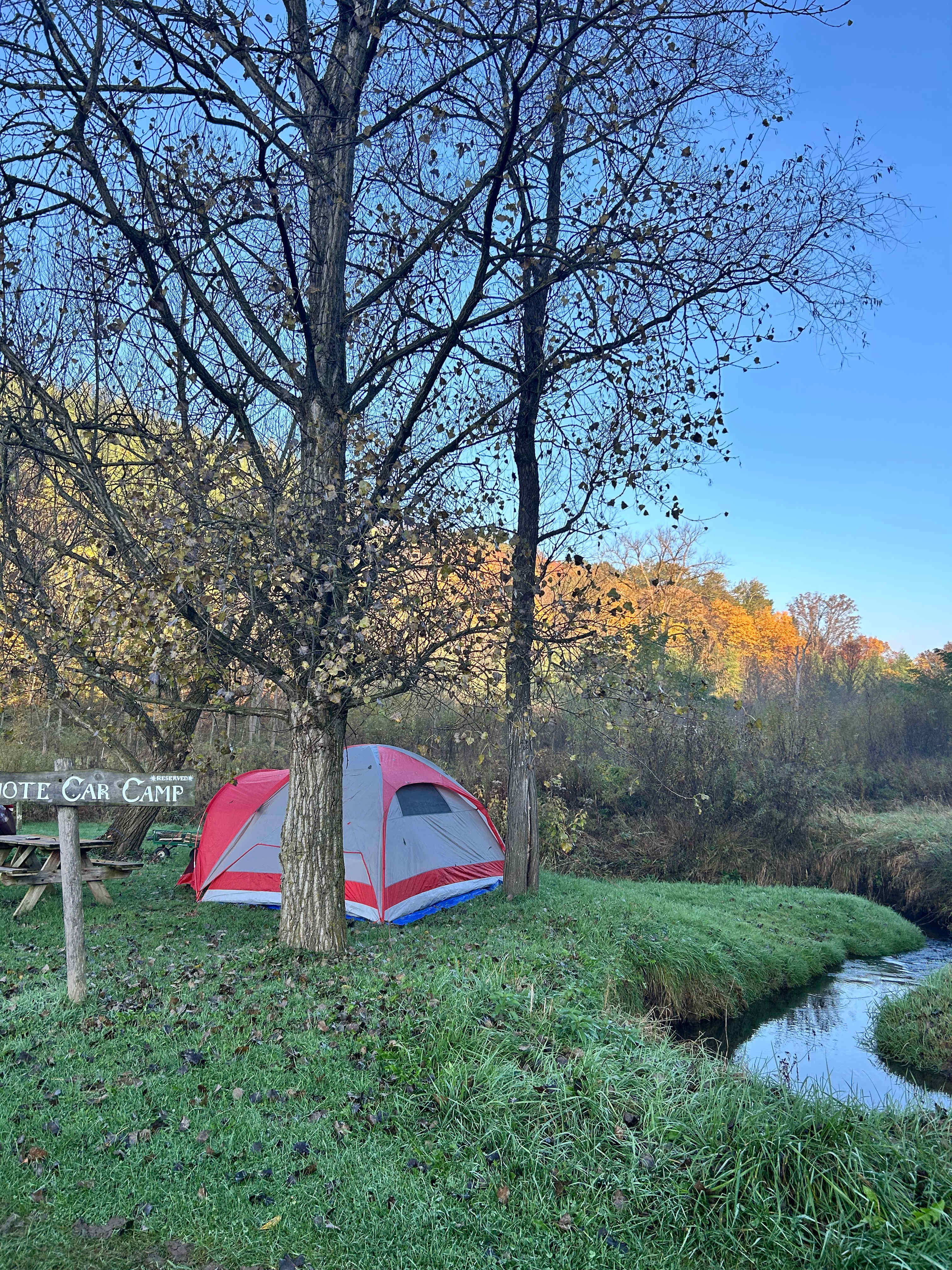 Coyote car camp site
