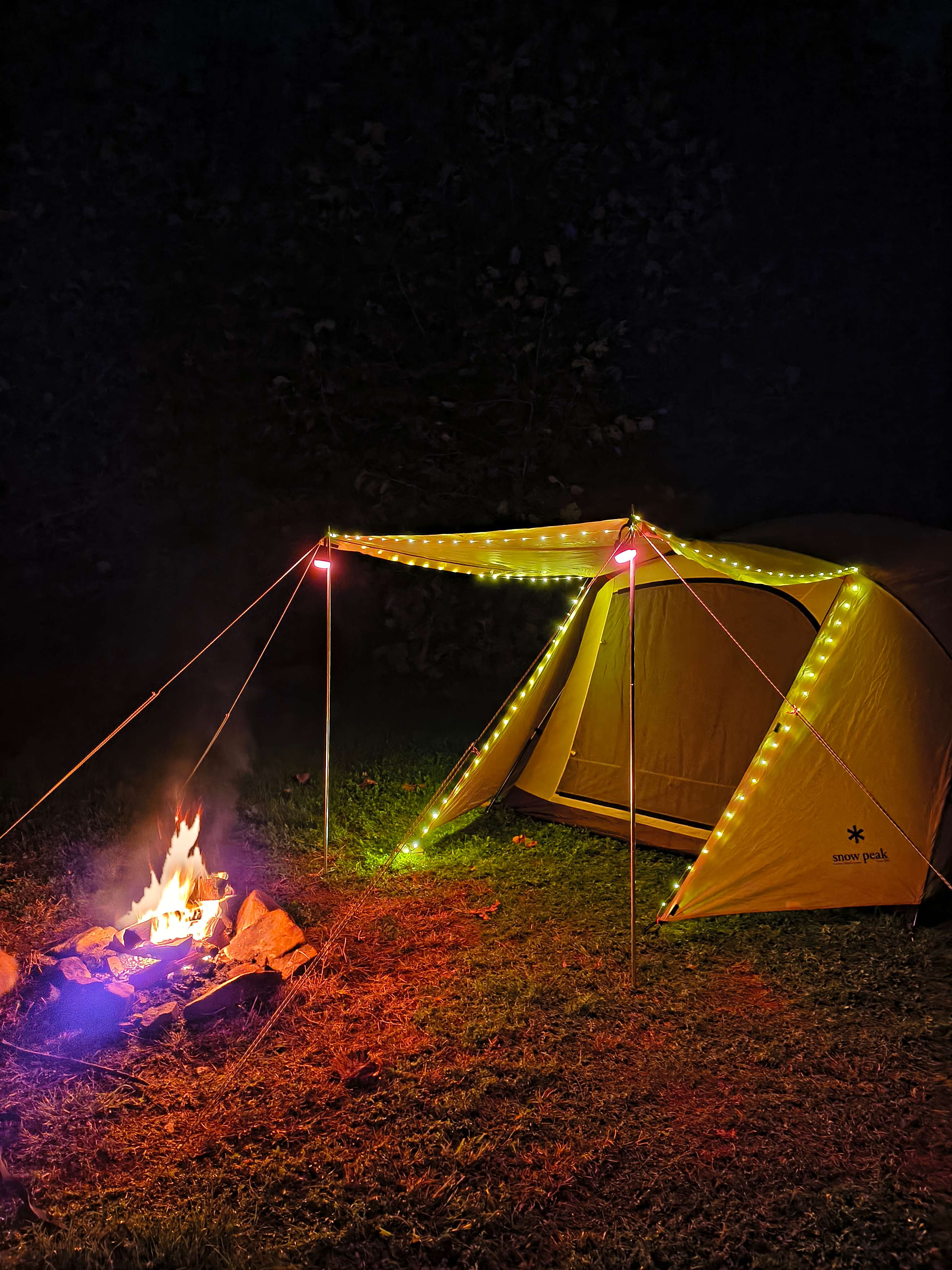 The site had lots of room!