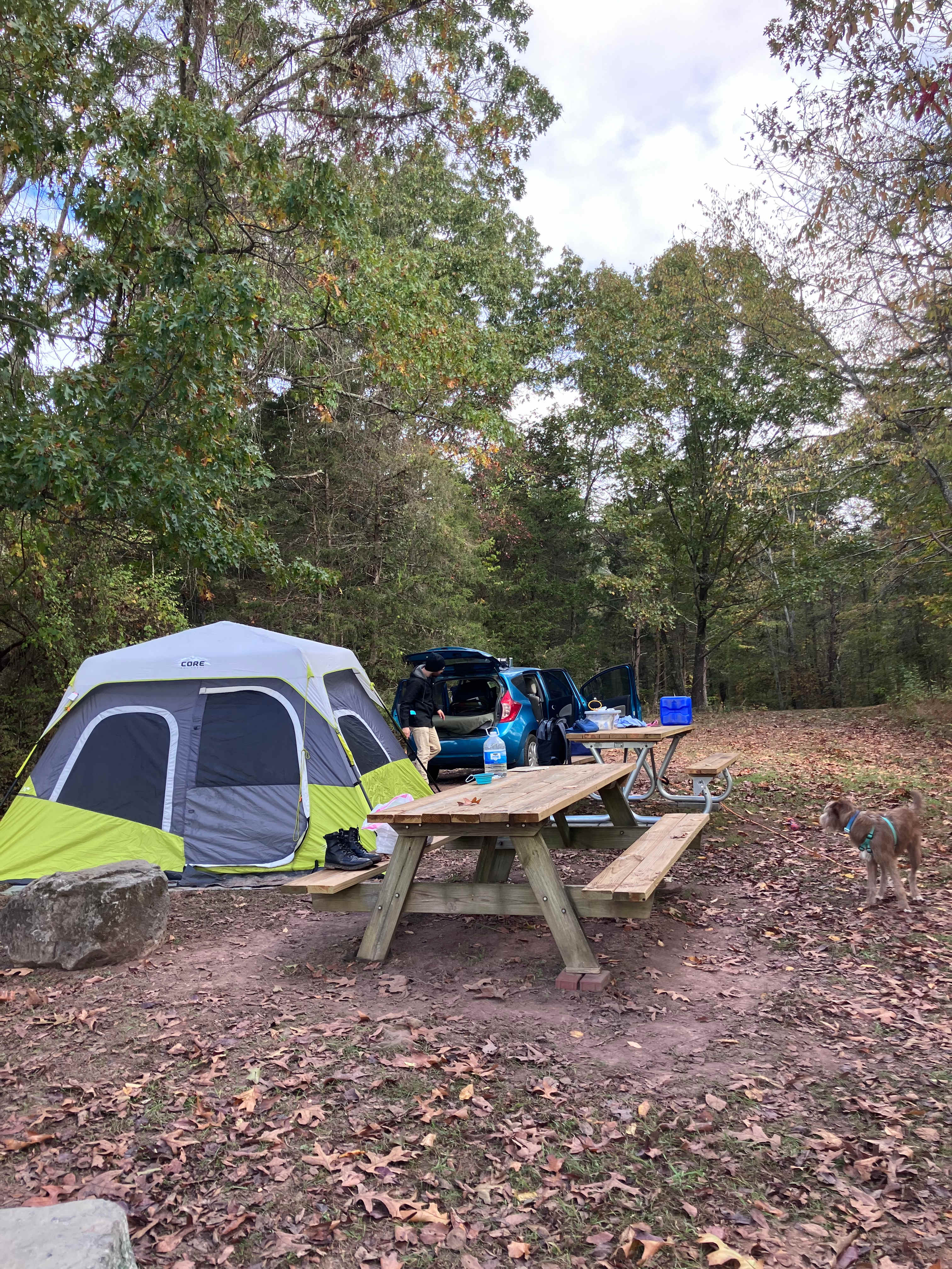 Picture of the site