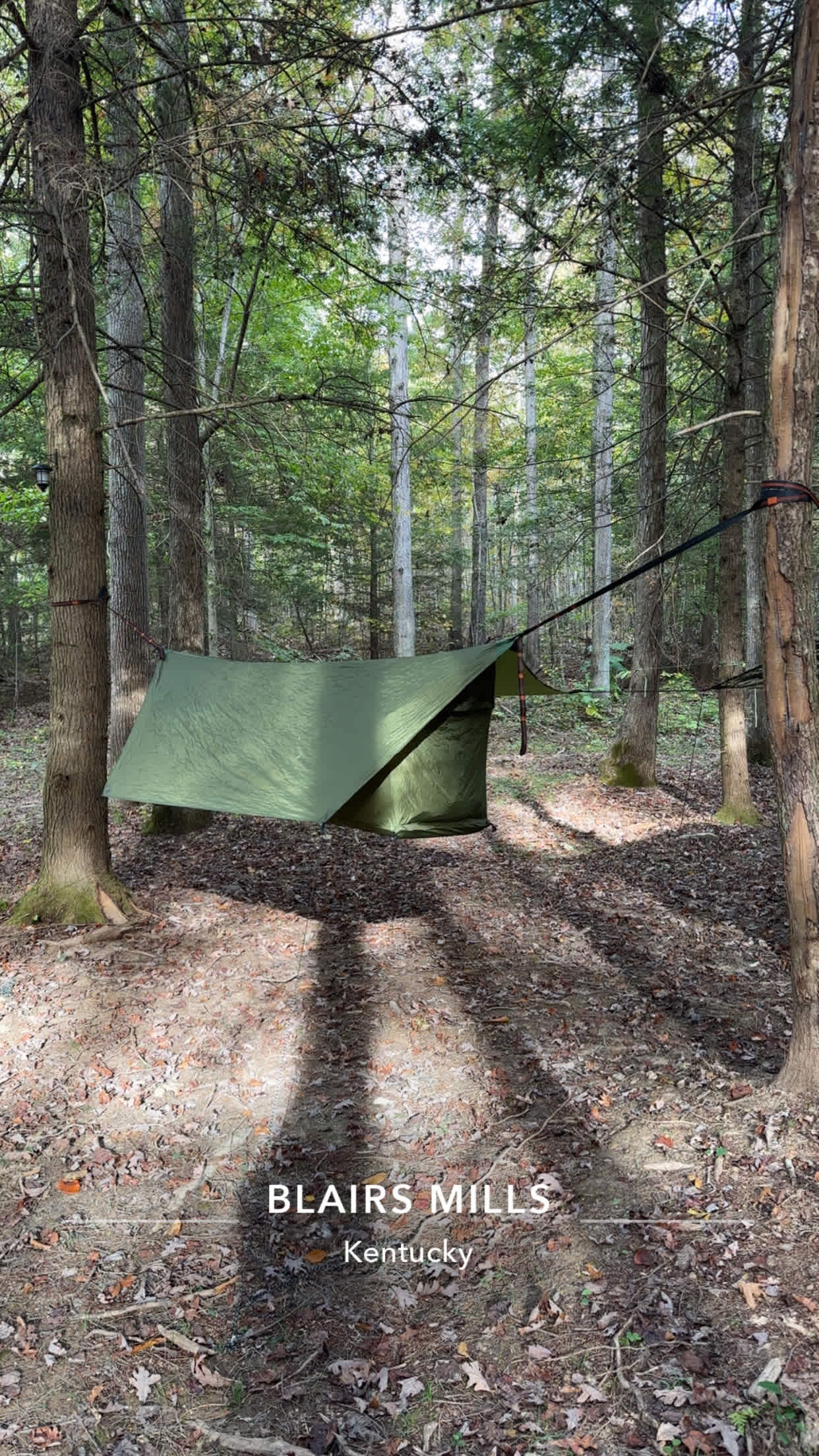 Hemlock Holler- great for hammocks
