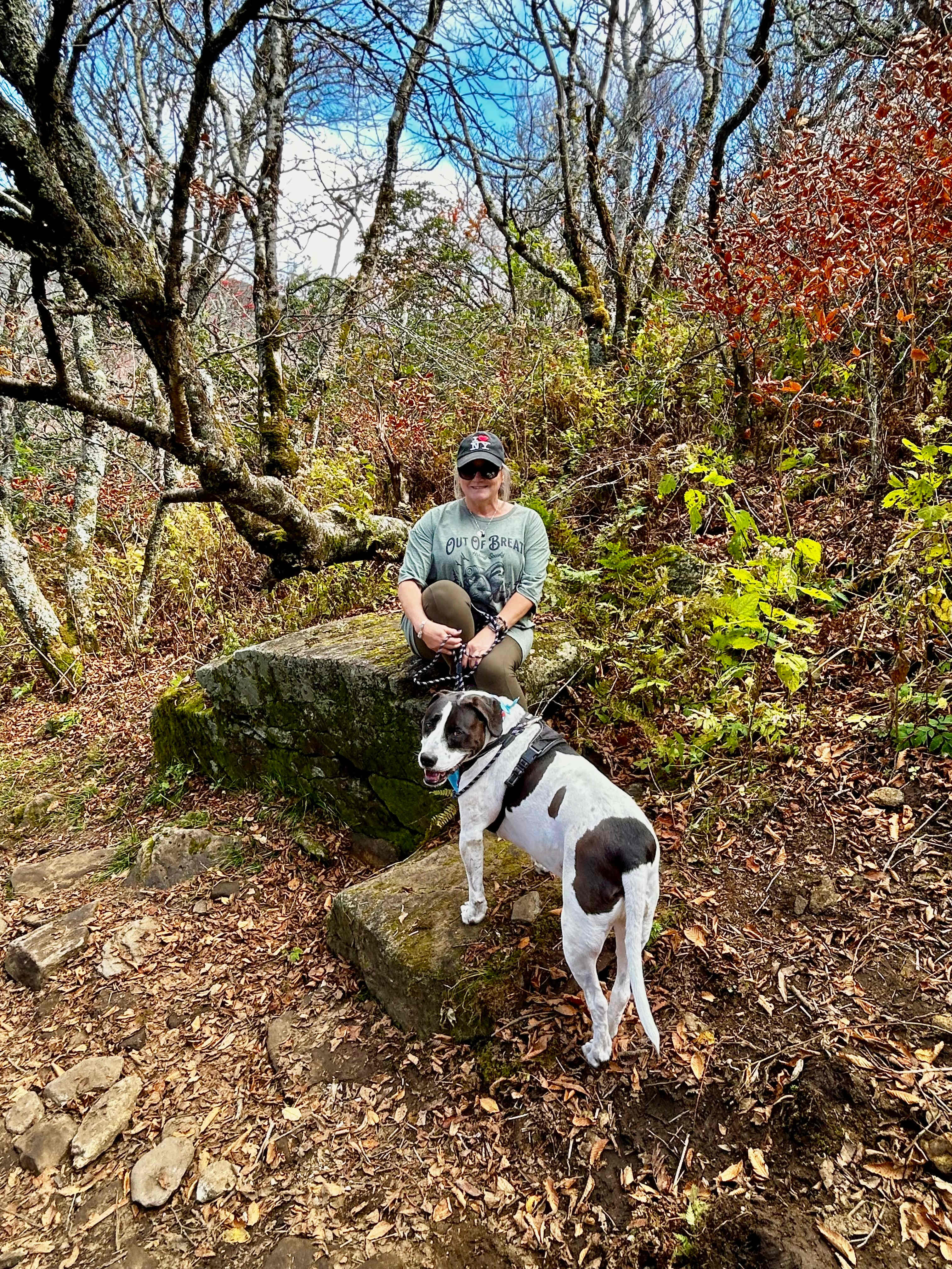 Above the Fray Glamping, Black Mtn.