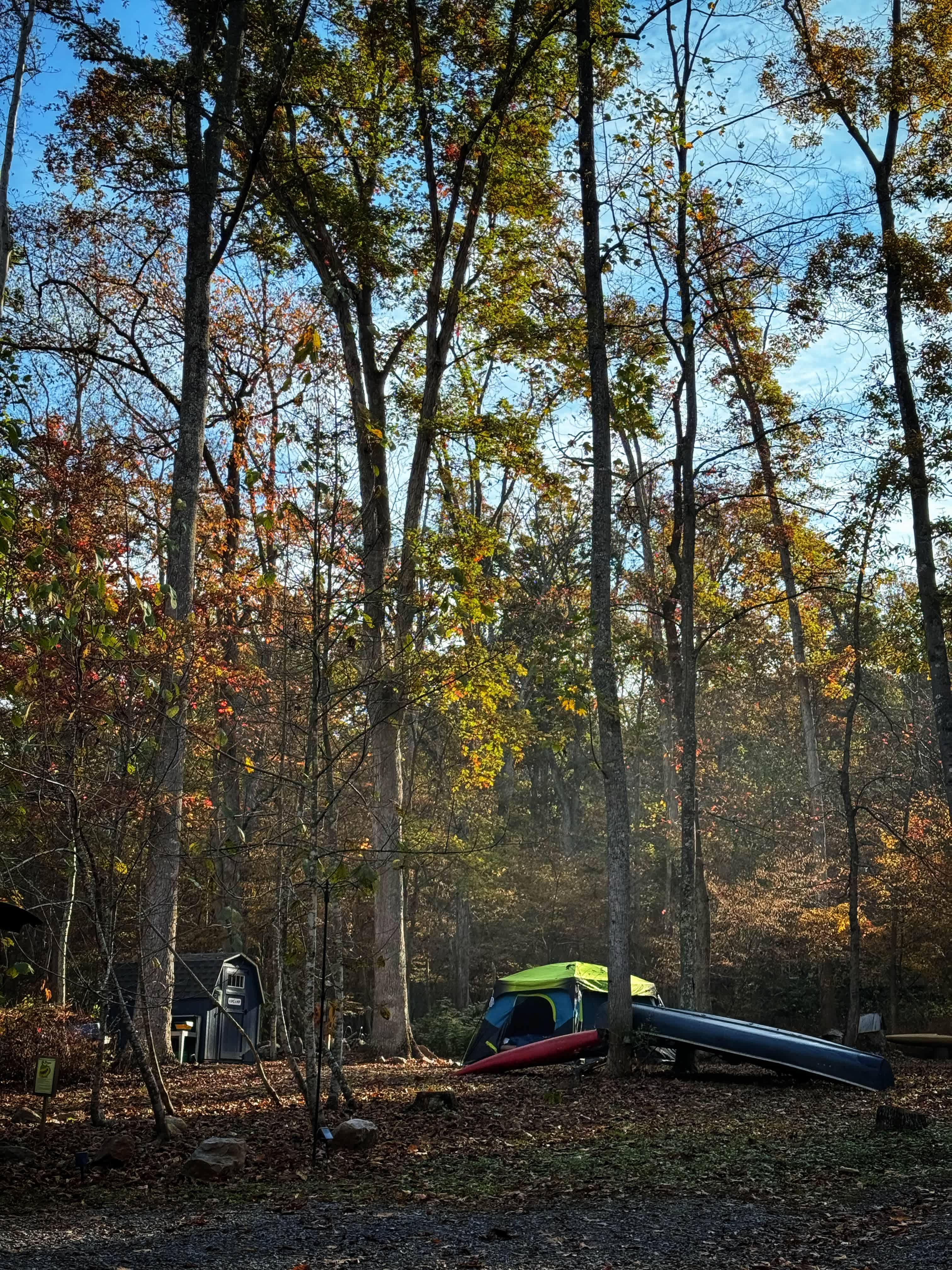 The Byrd's Nest on the River