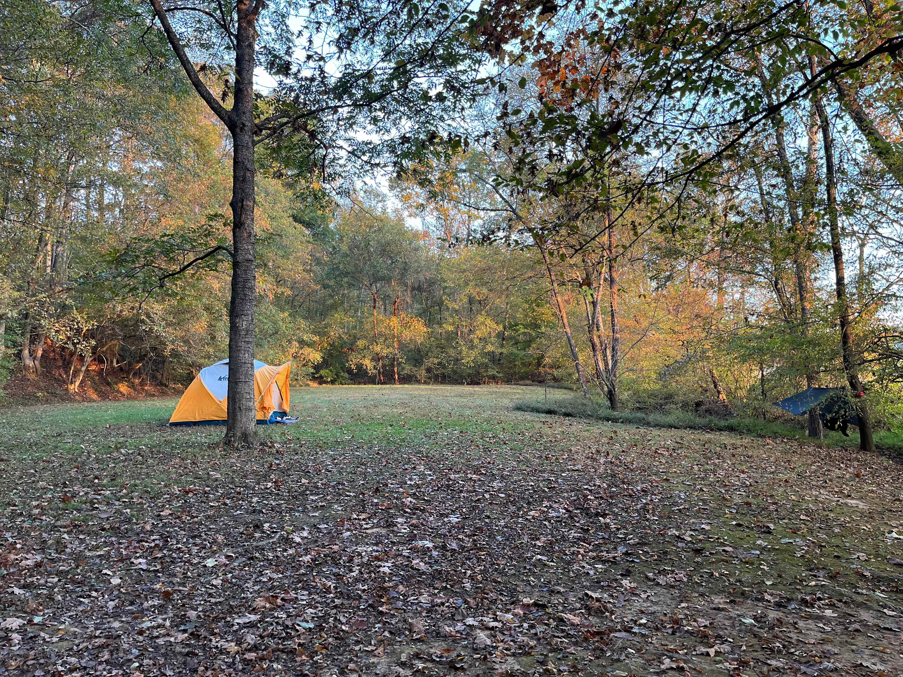 Kohler Farms-A Shire Horse...