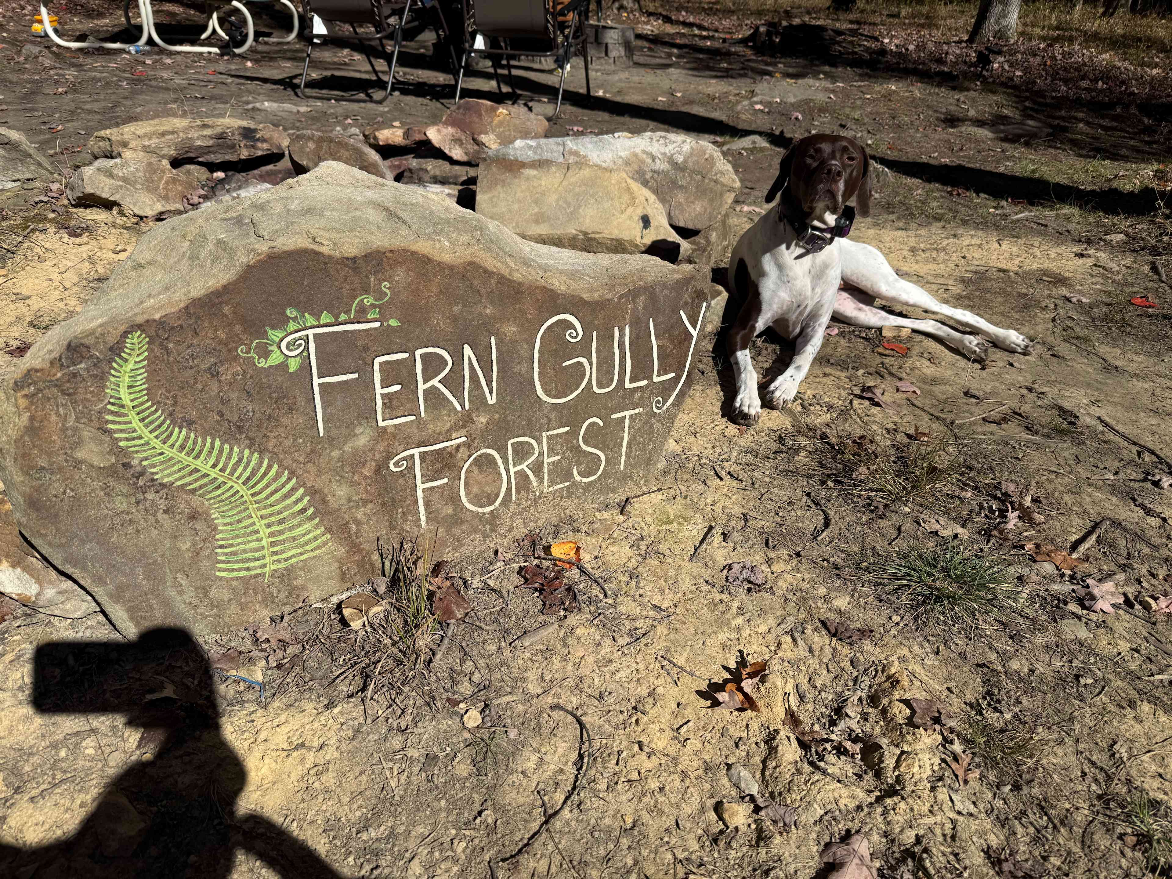 Clear Creek Cook Forest Campsite