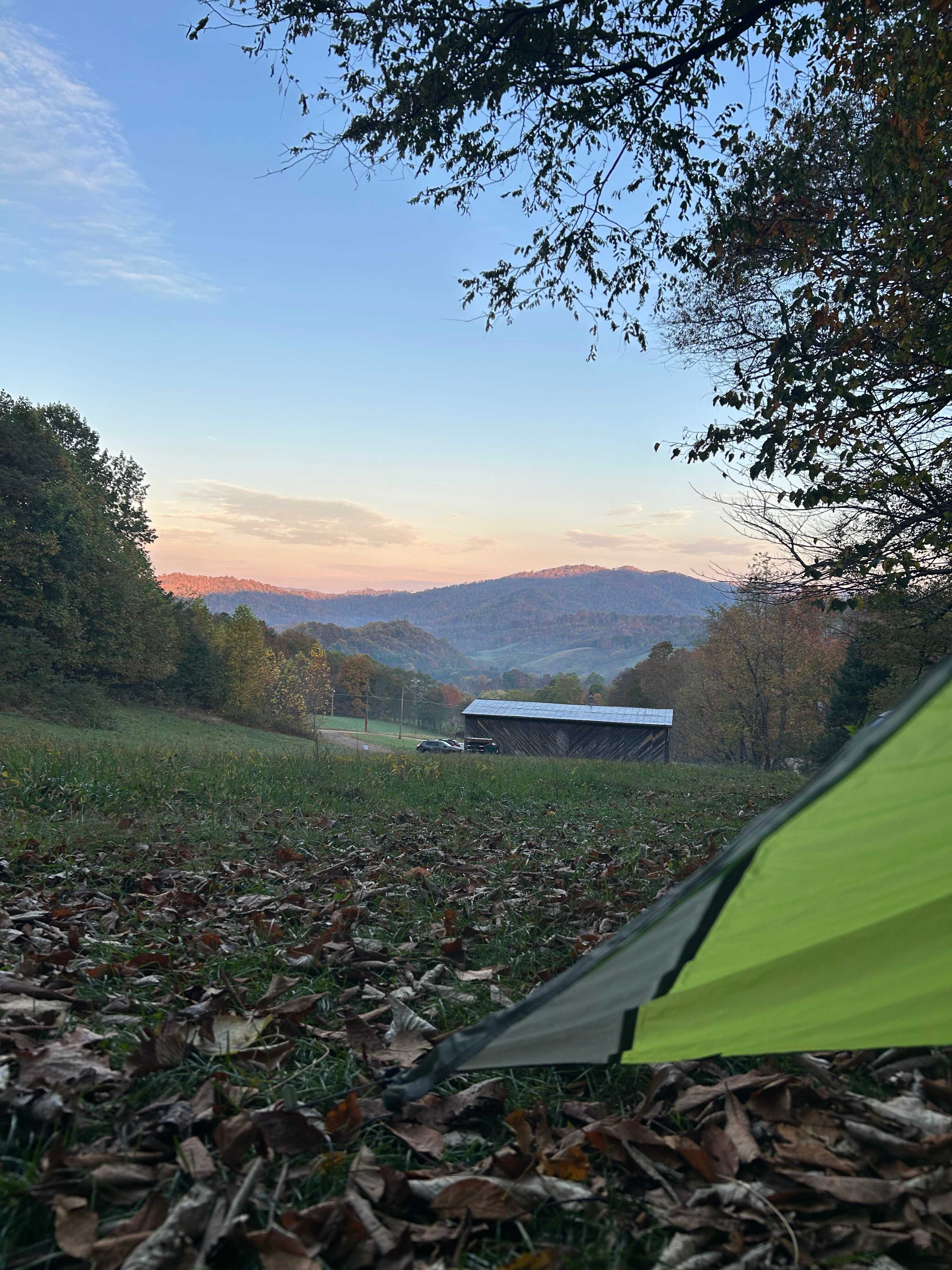 The morning view from my tent. 