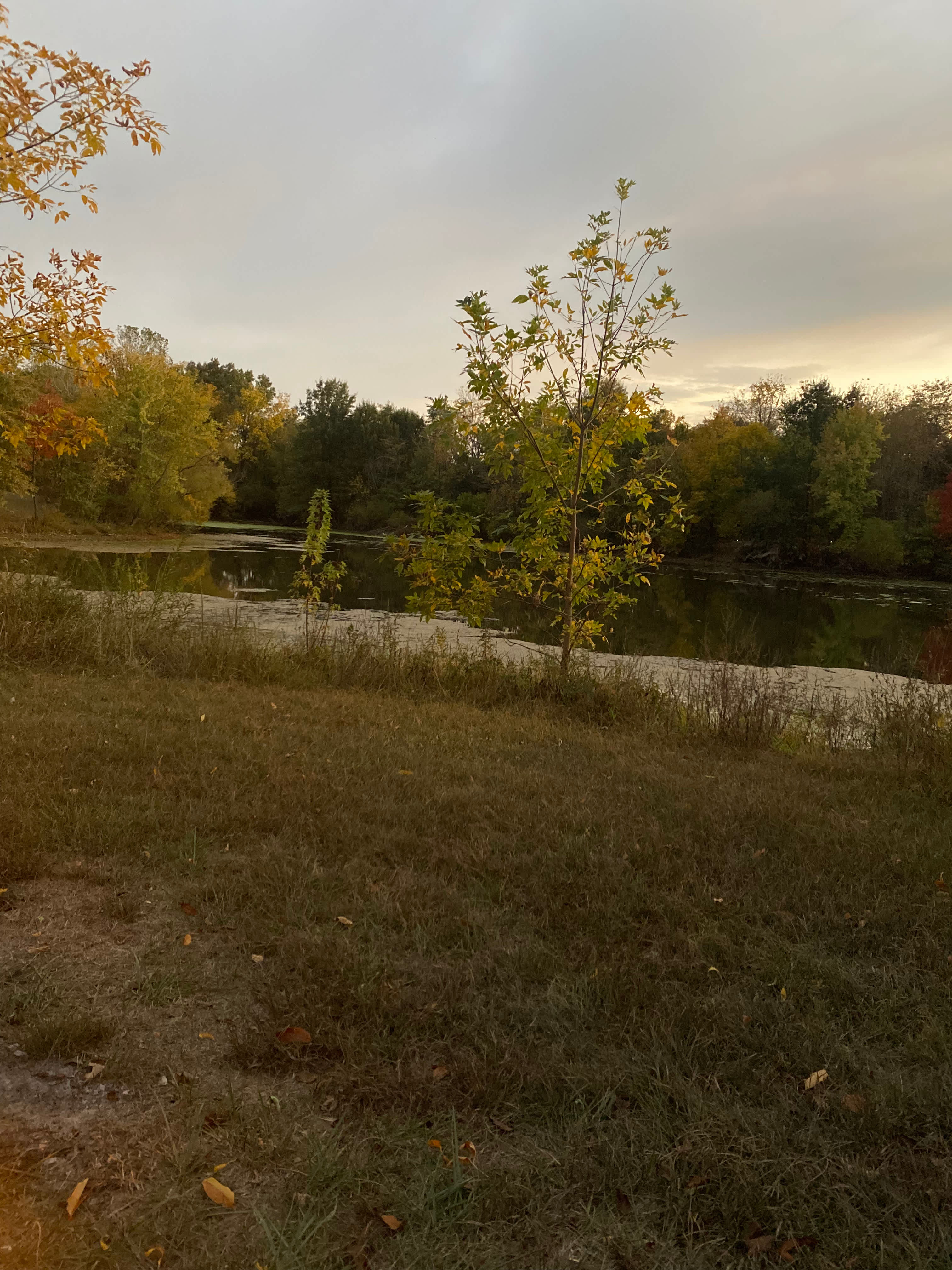 Bear Creek Farm and Ranch