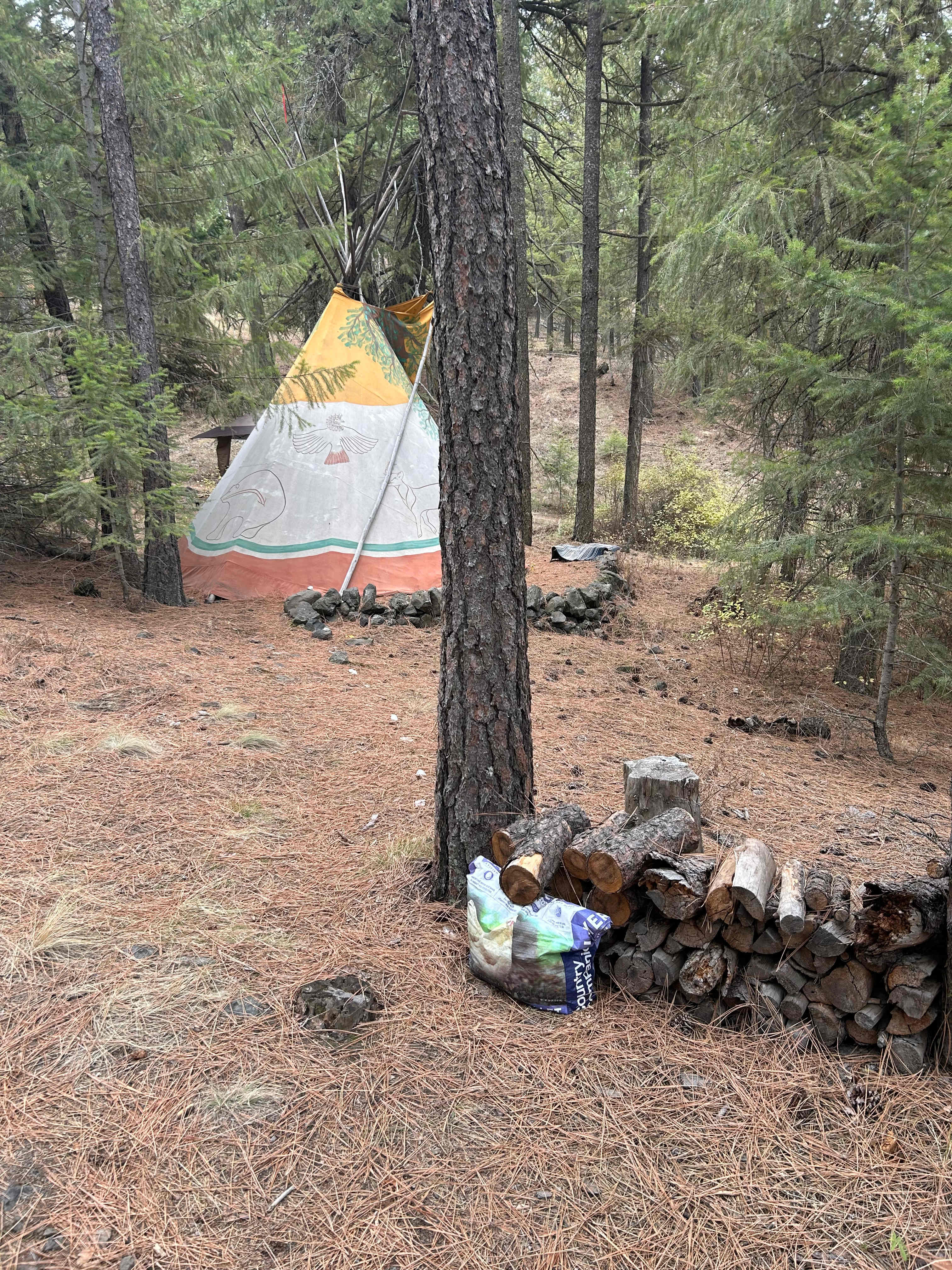 SPOKANE CAMPING In The Forest