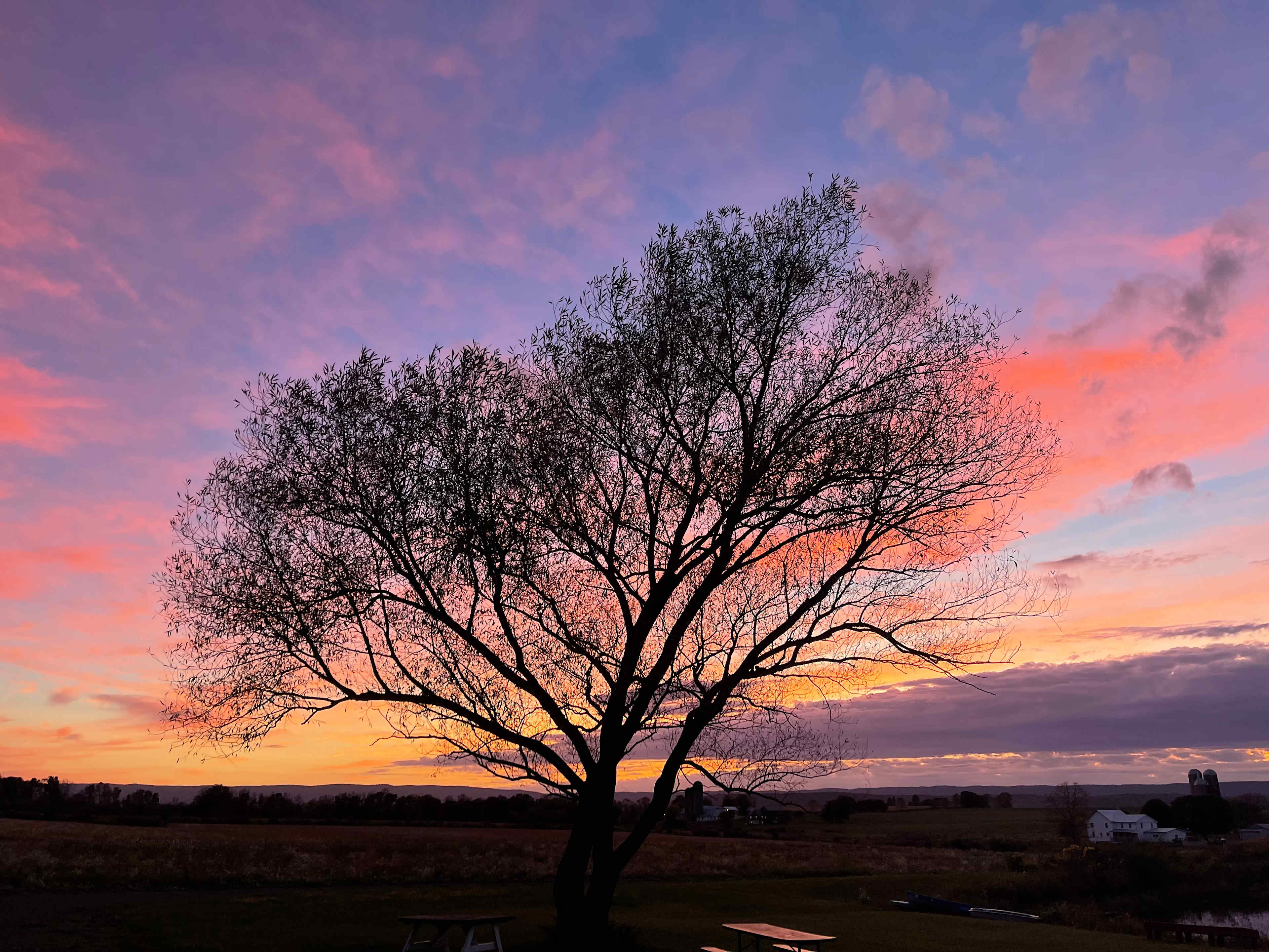 Paradise By The Pond